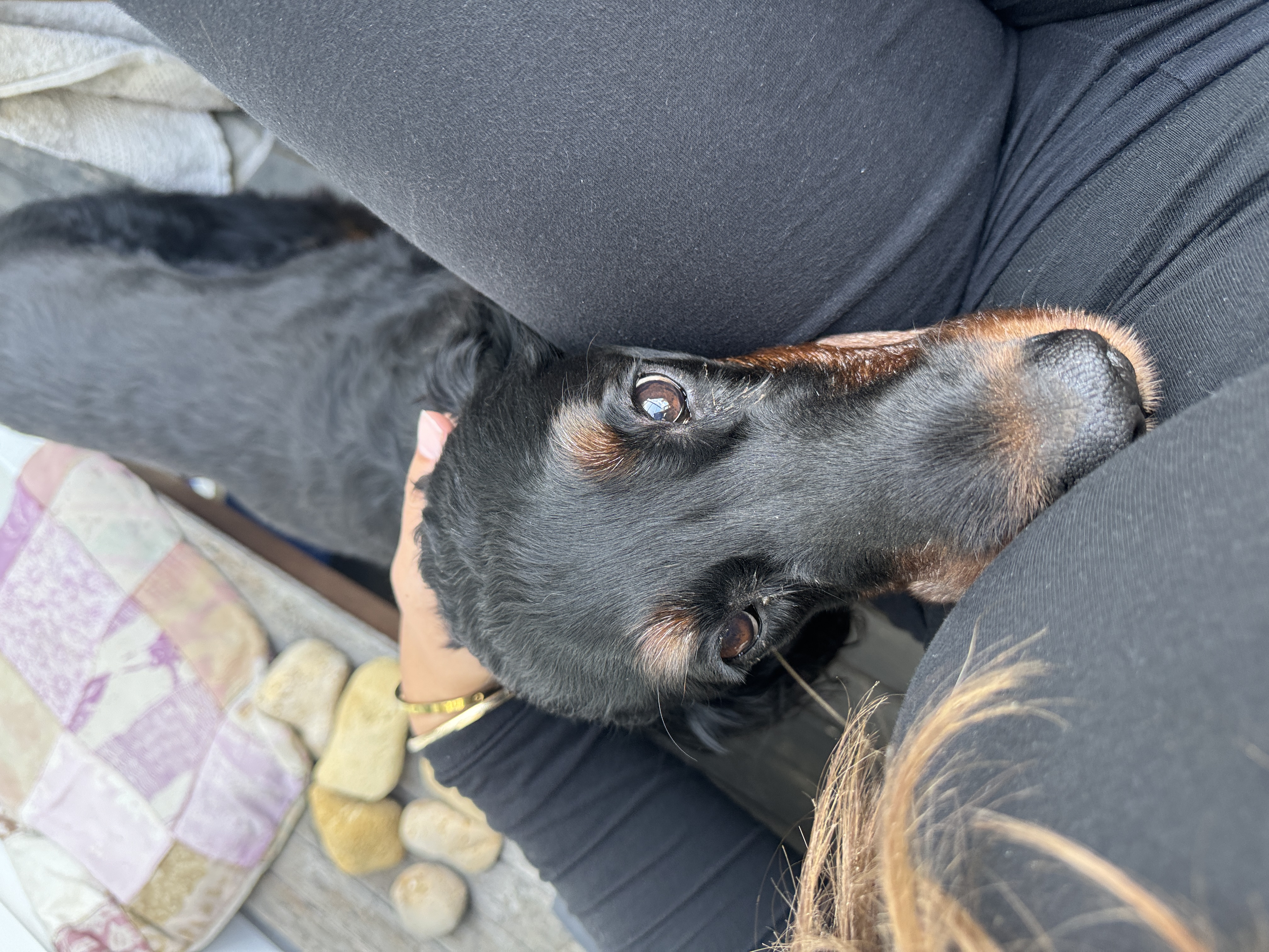 image-8