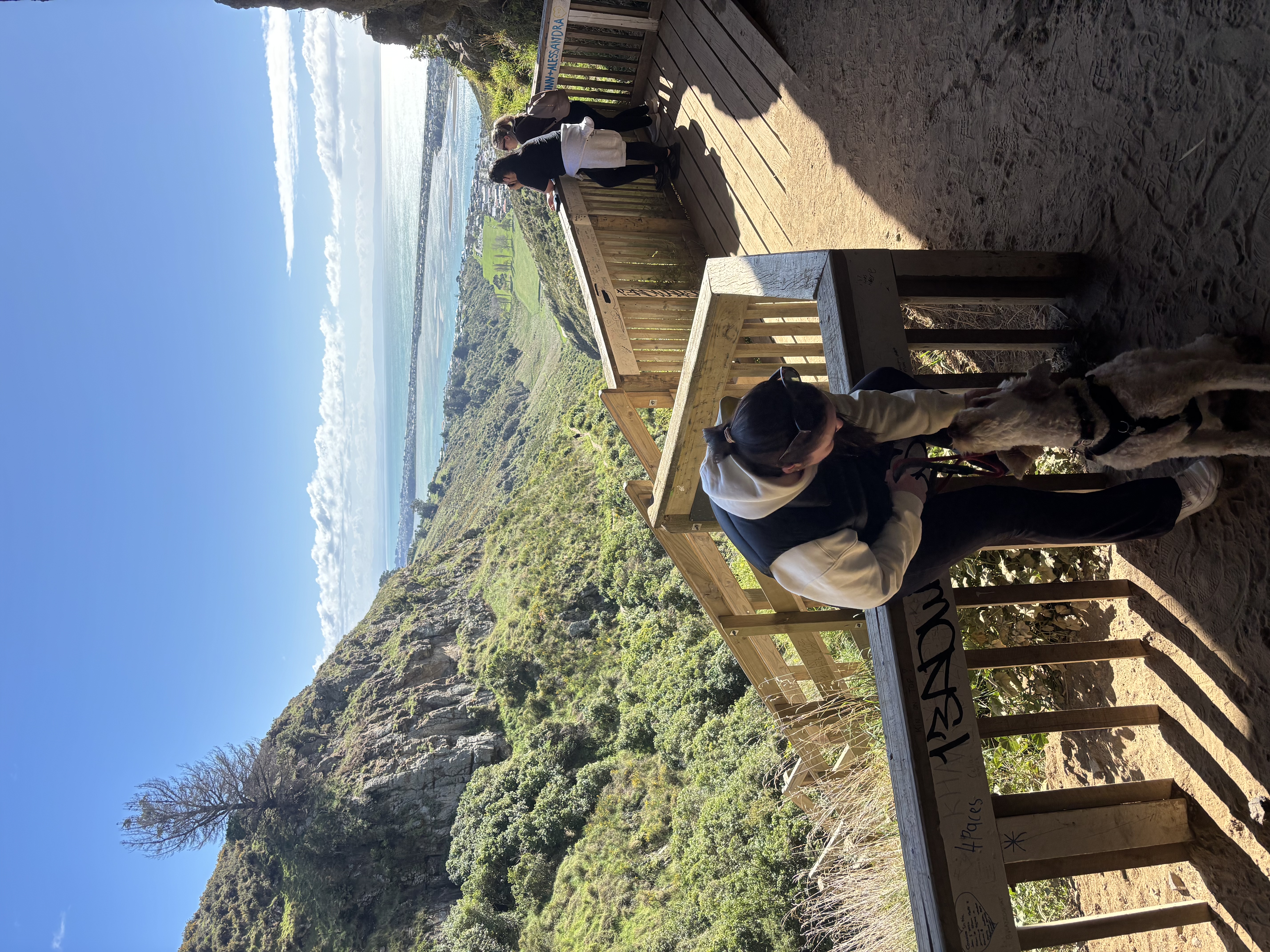 image-7