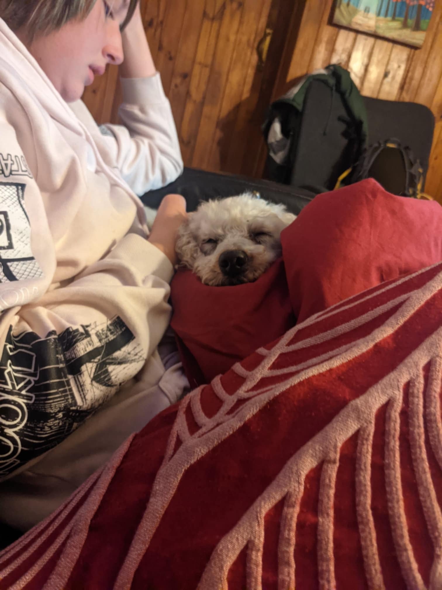 image-10