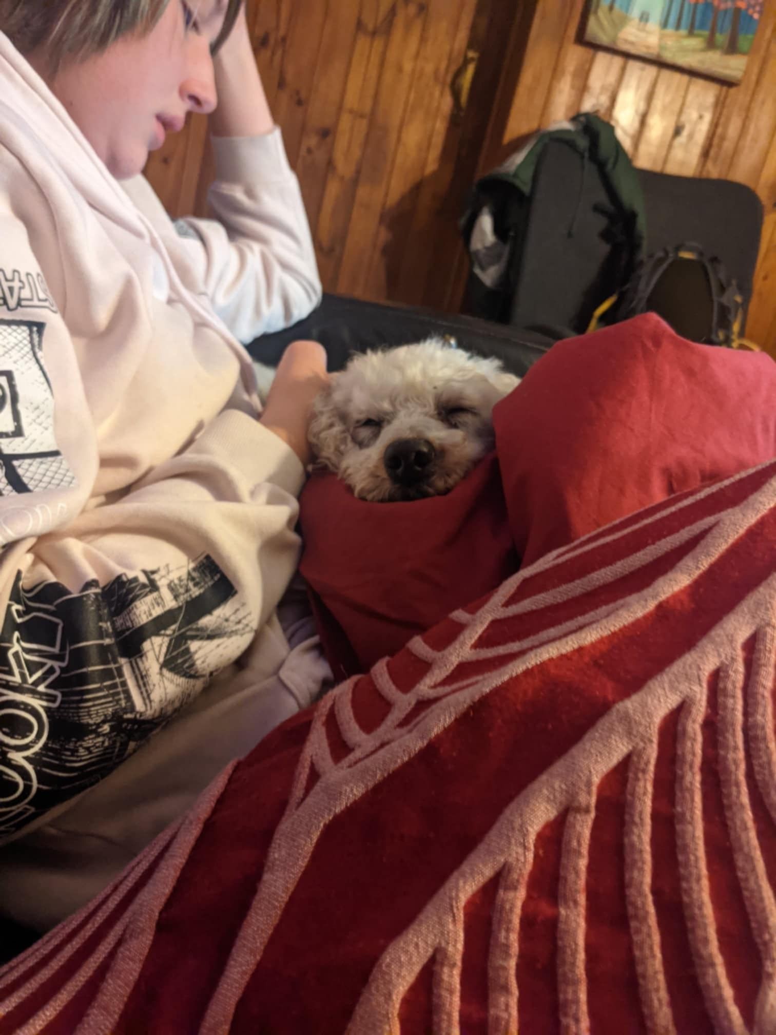 image-10