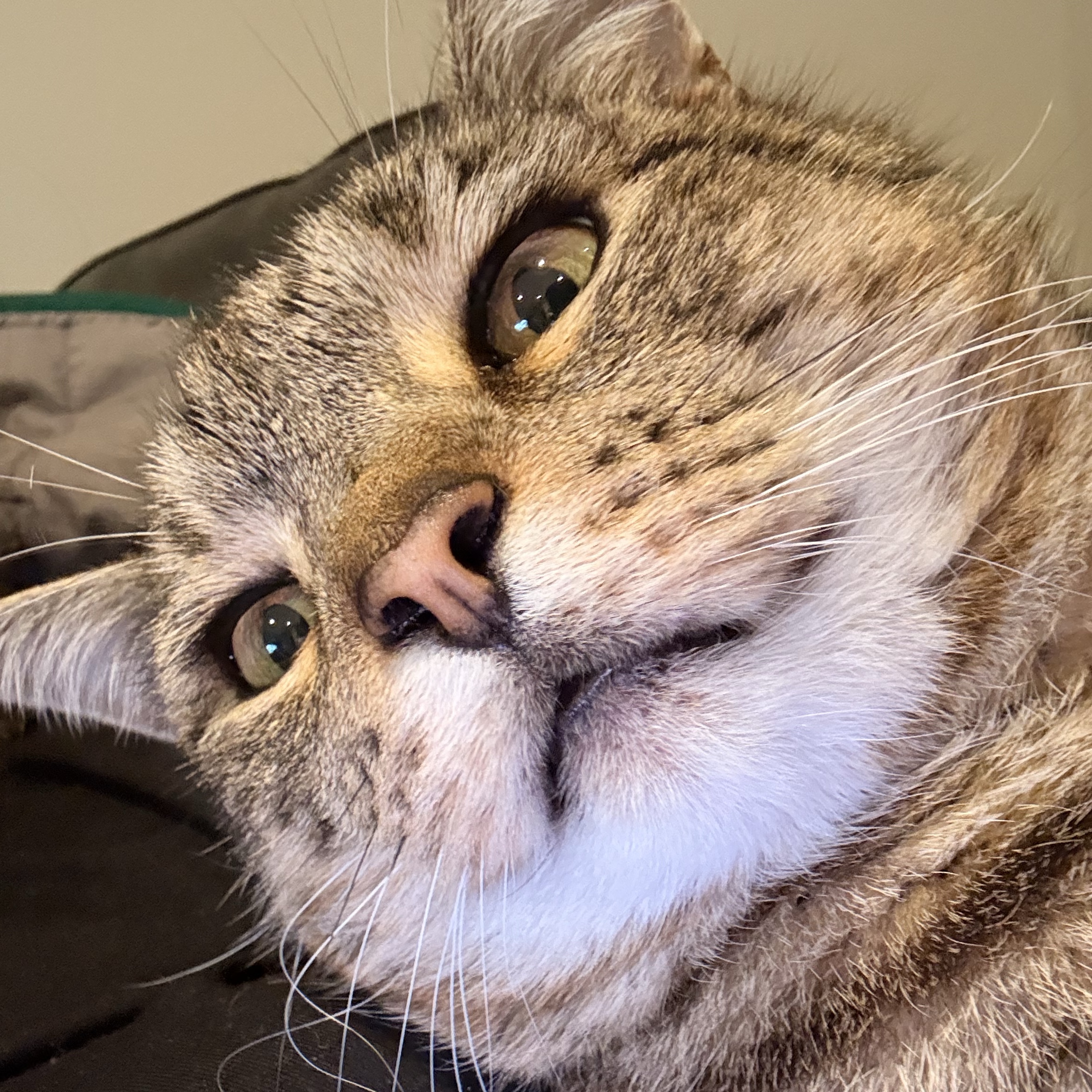 Max