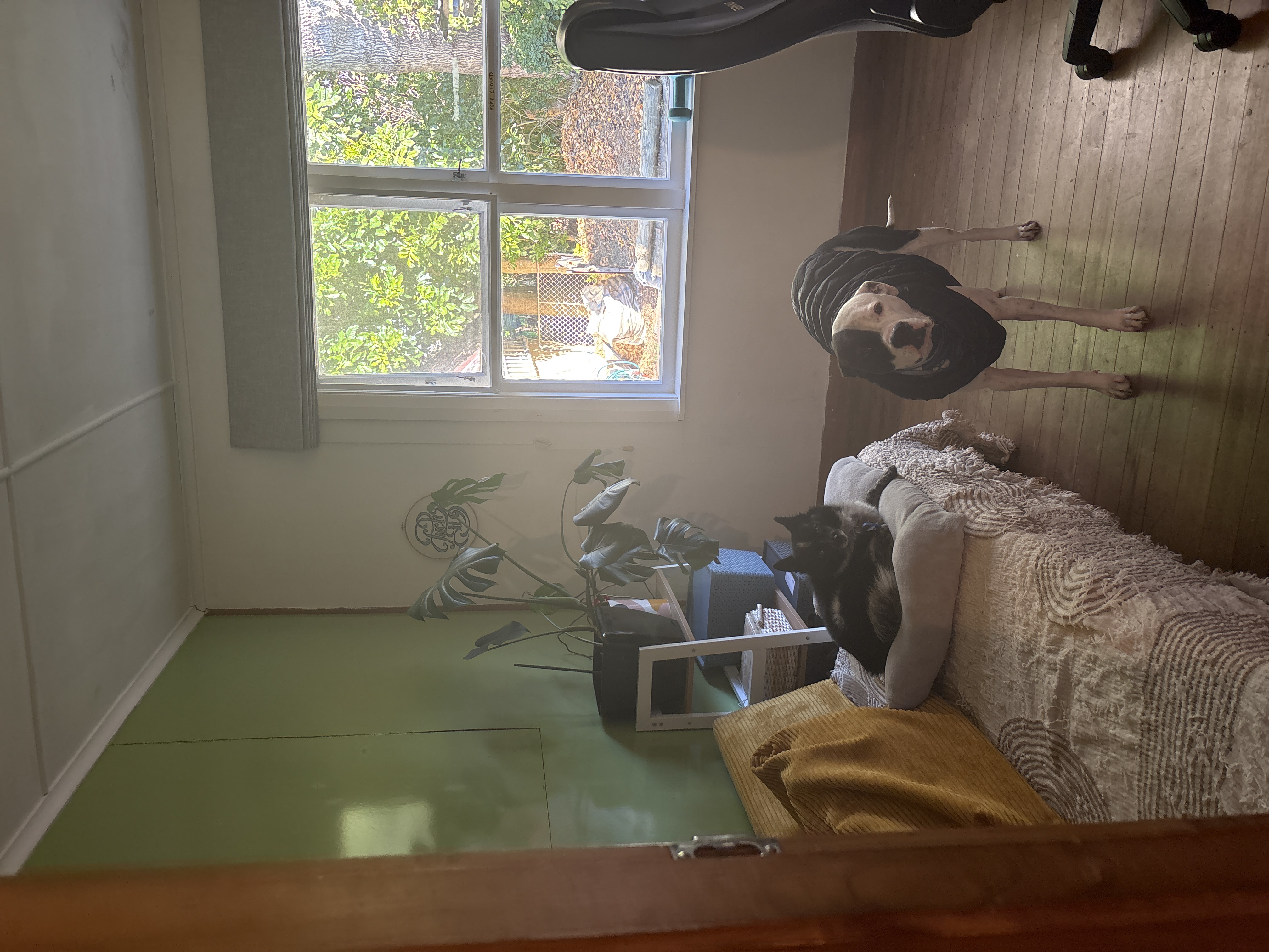 image-10