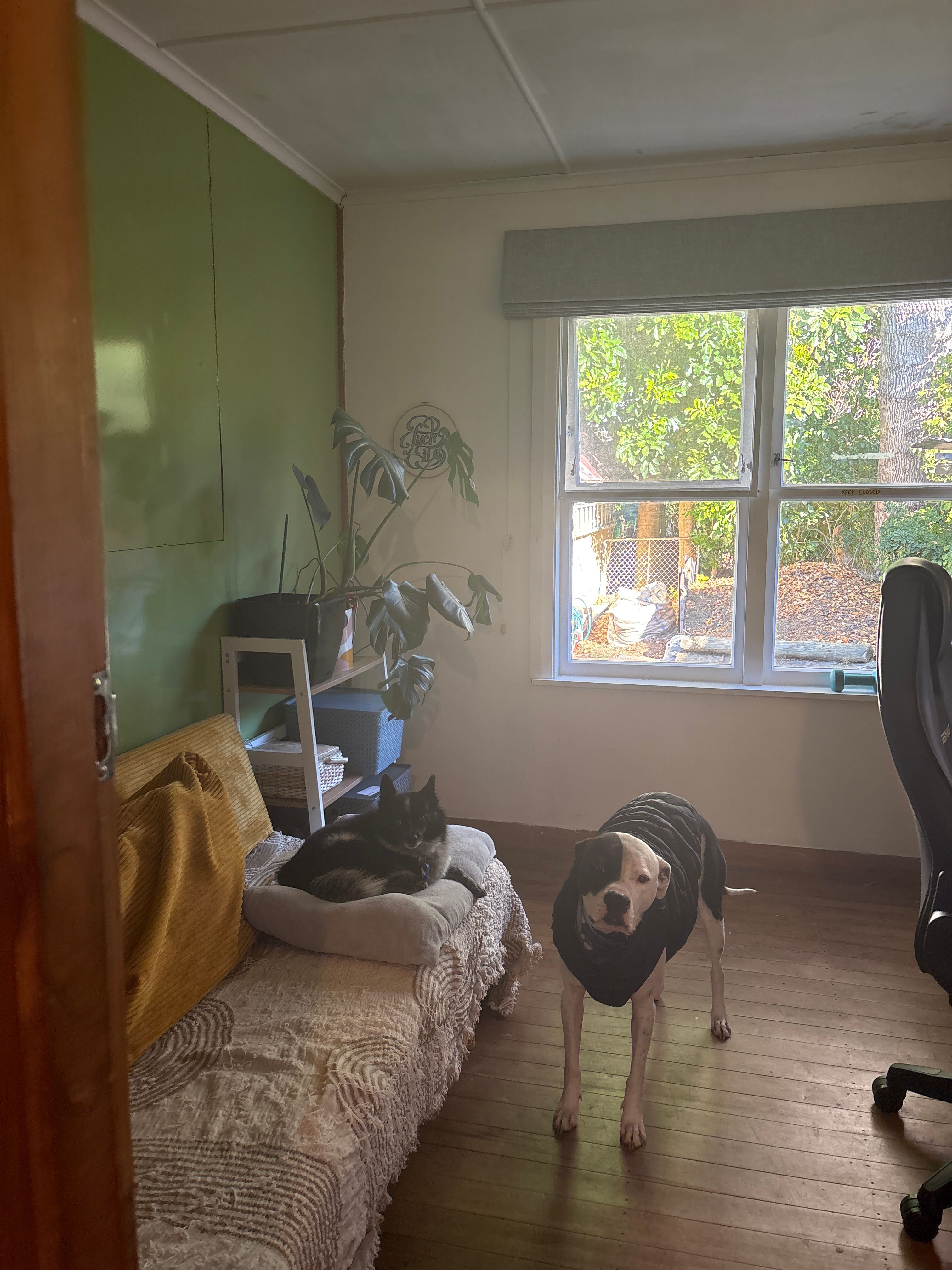 image-10