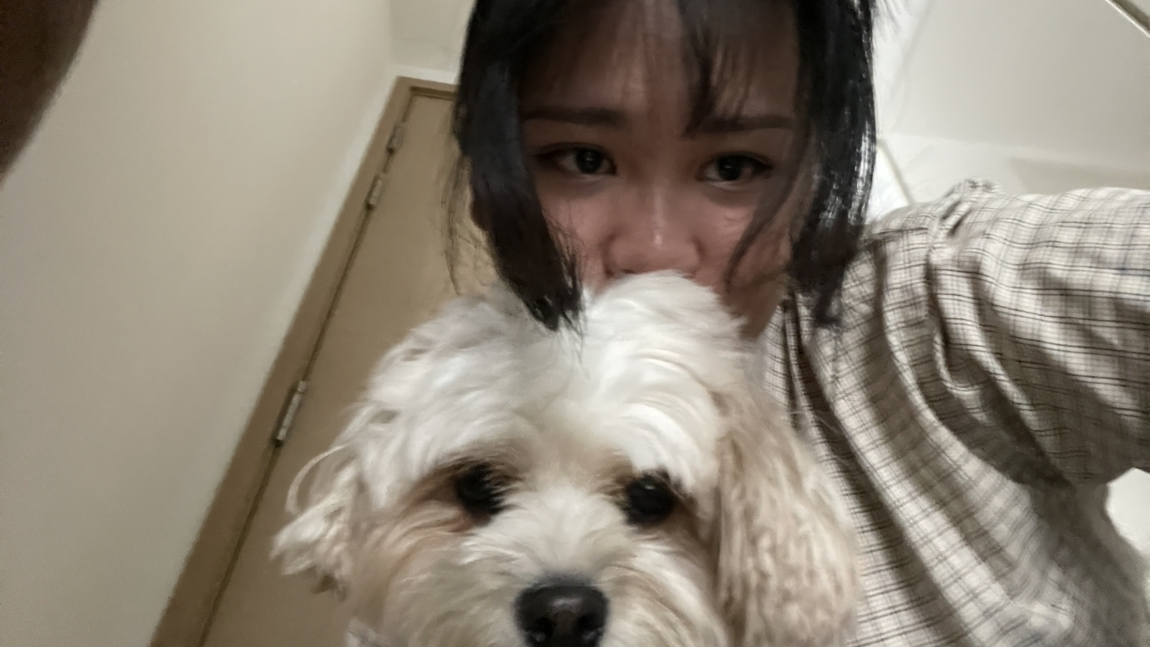 image-5