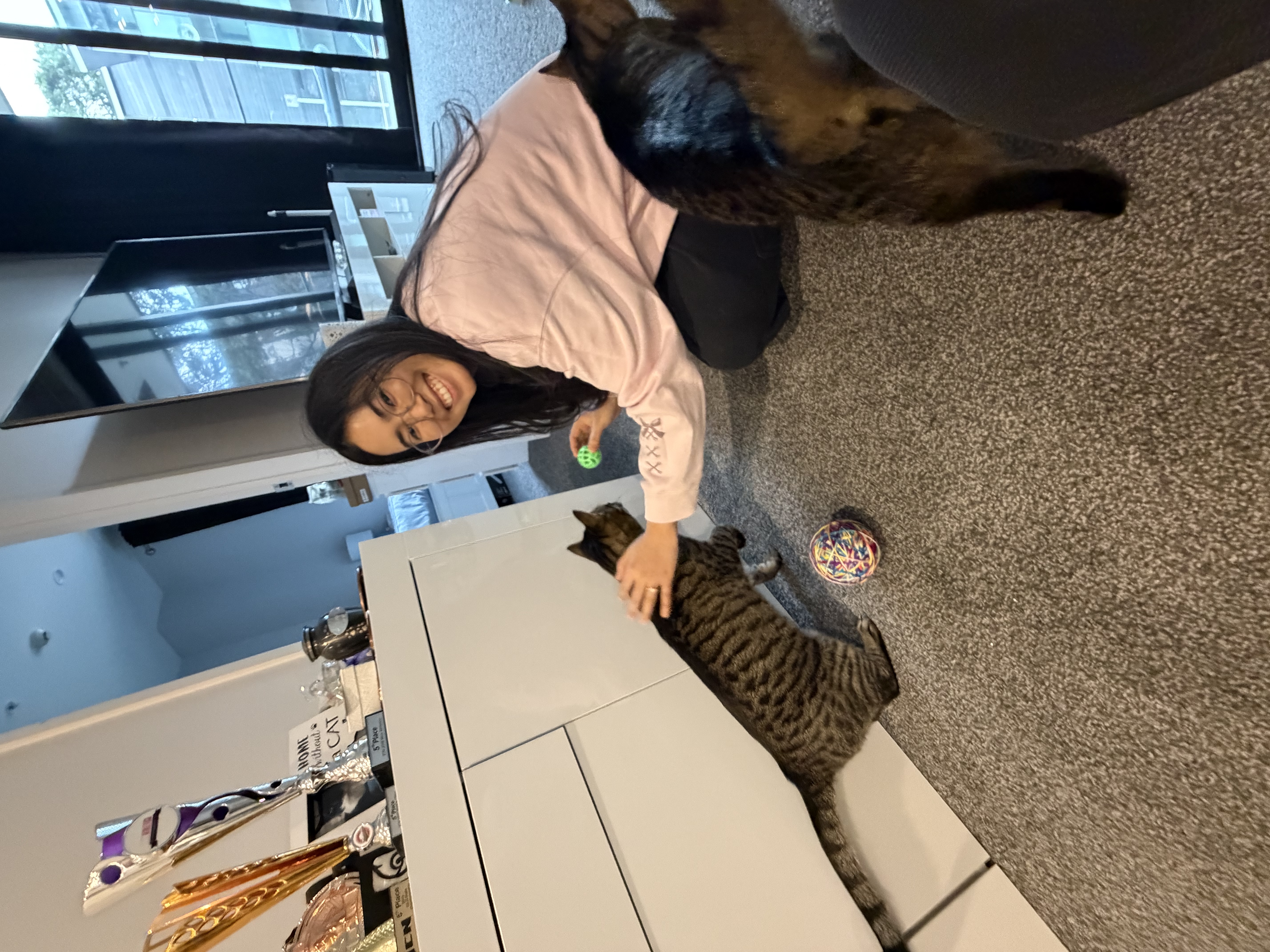 image-4