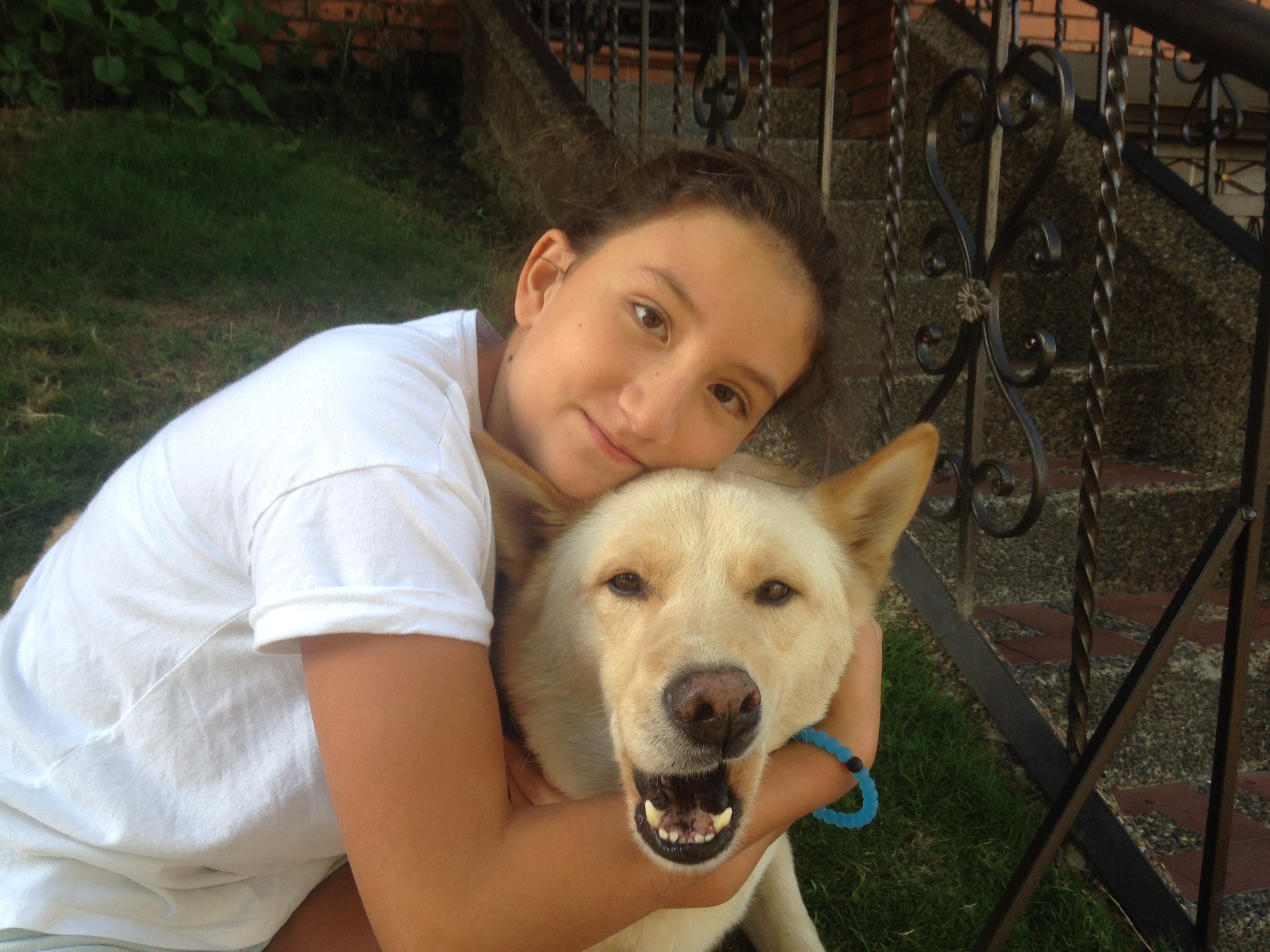 image-6