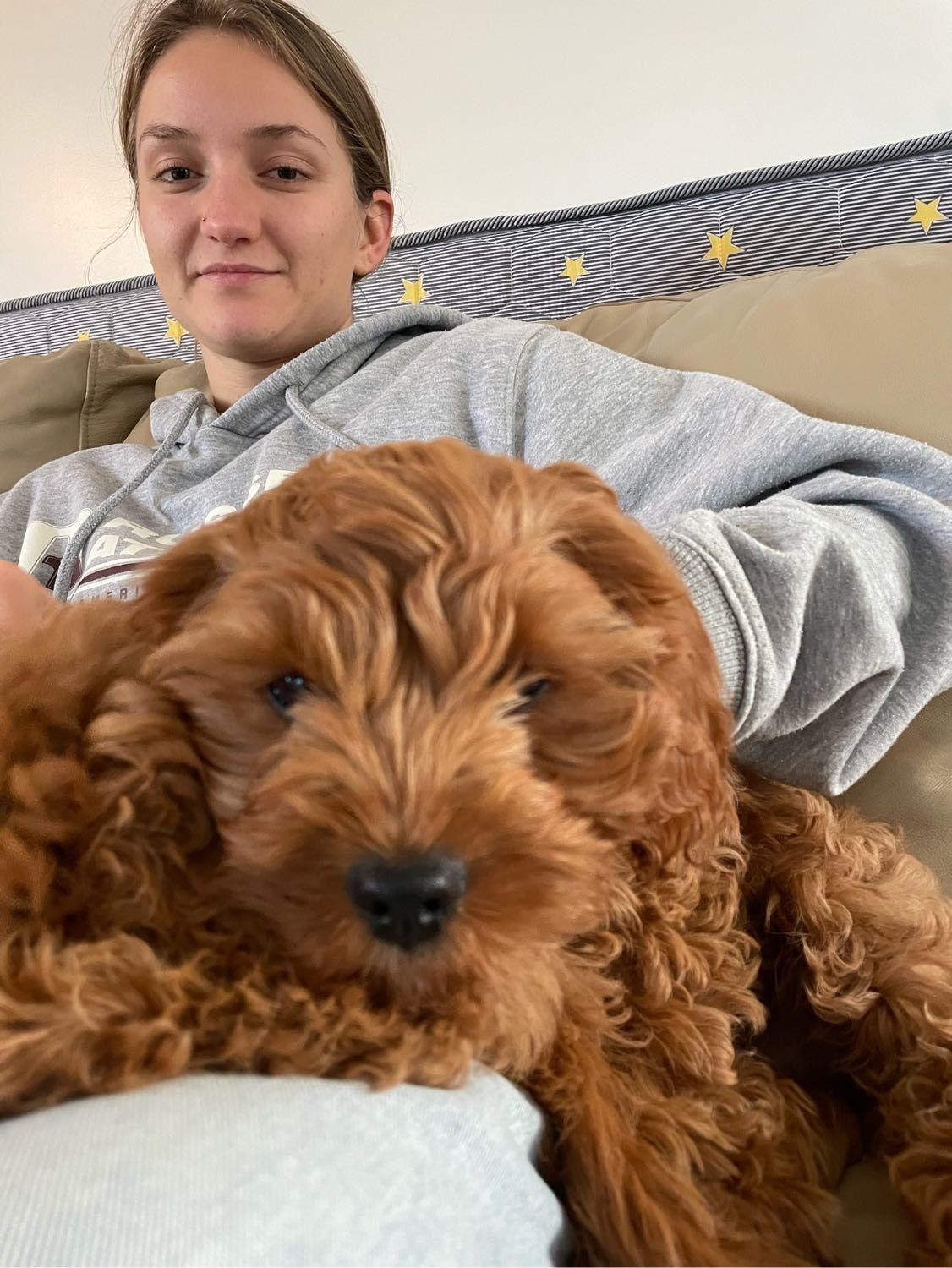 image-5
