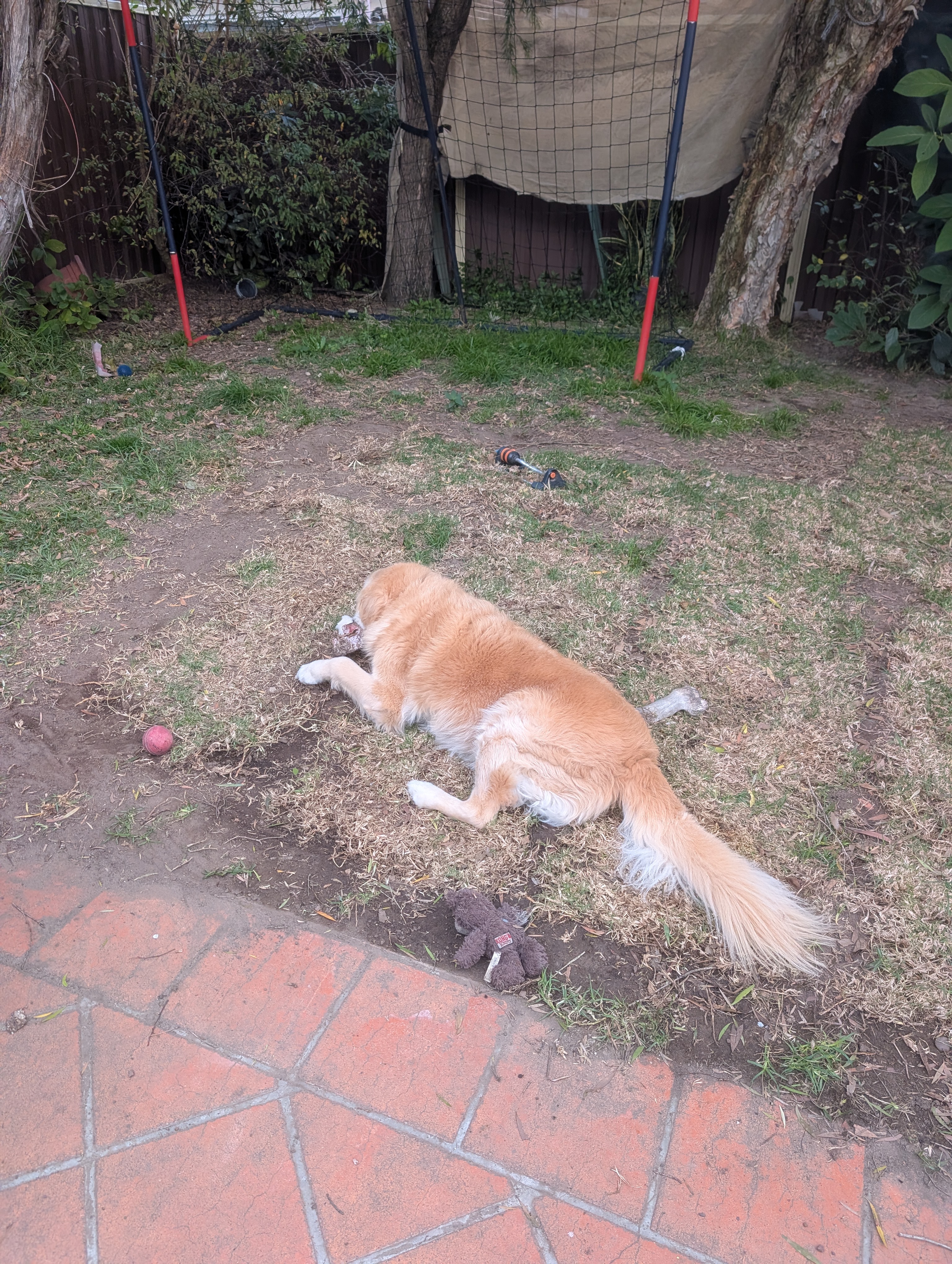 image-8