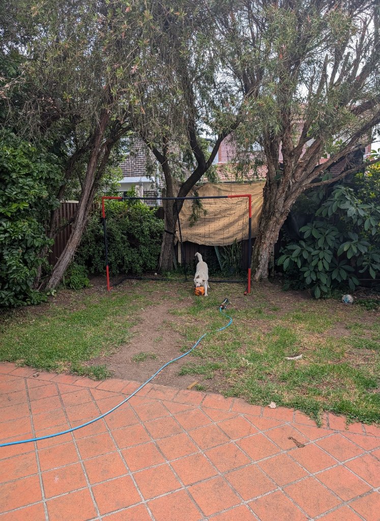 image-14