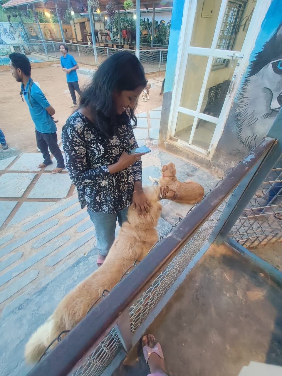 image-7