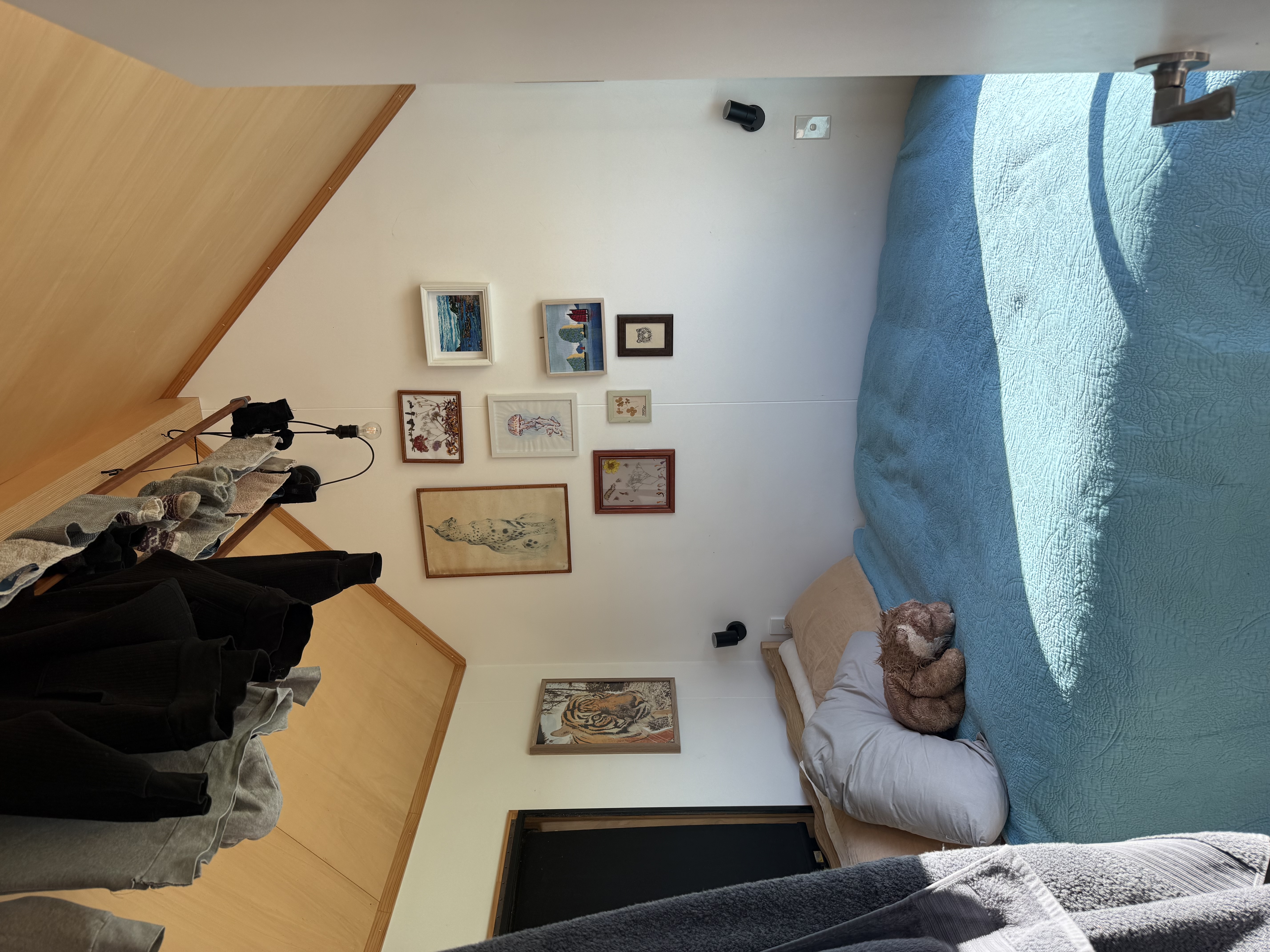 image-8