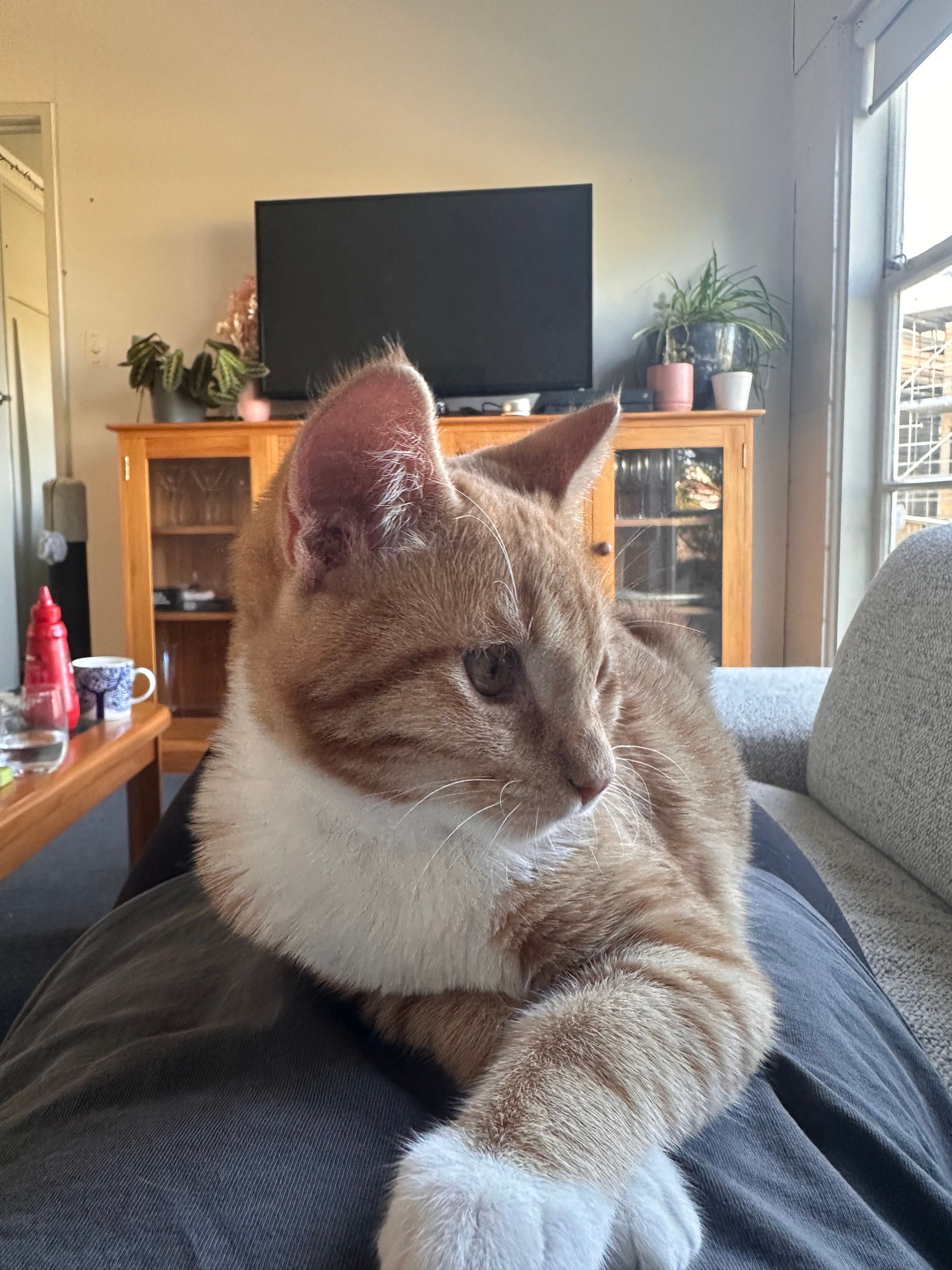 image-9