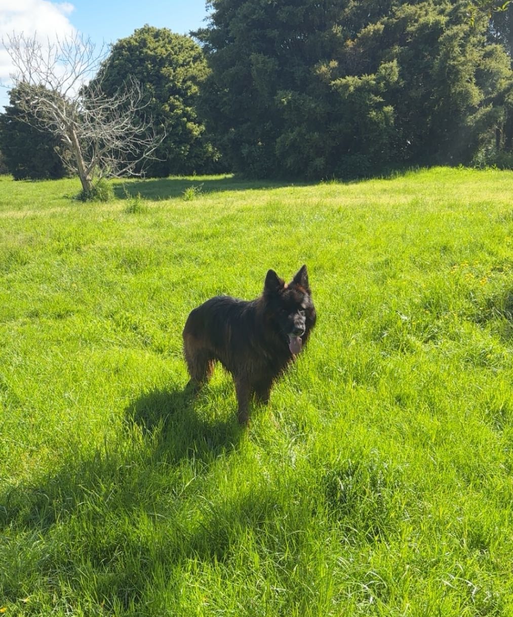 image-3