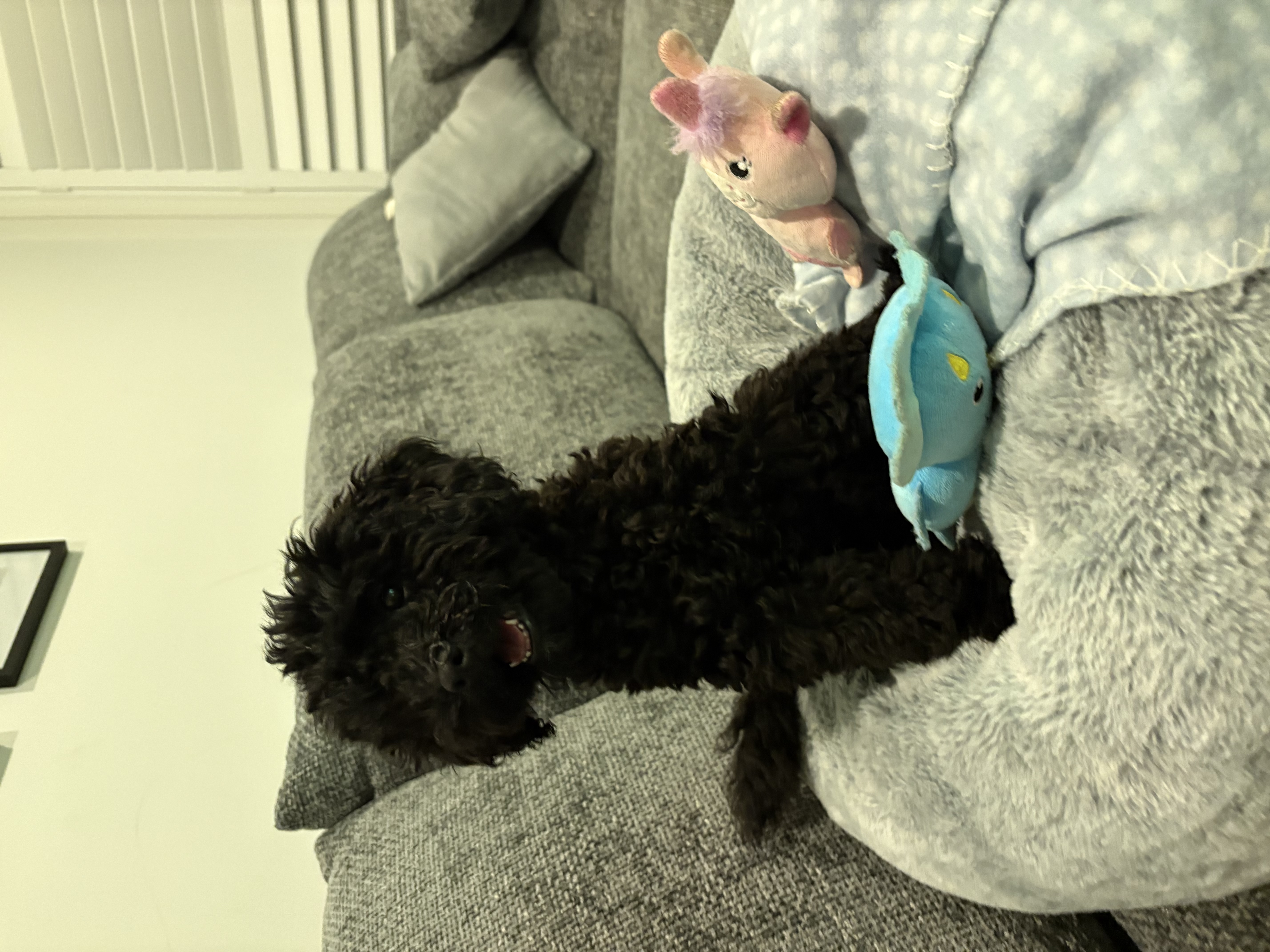 image-9