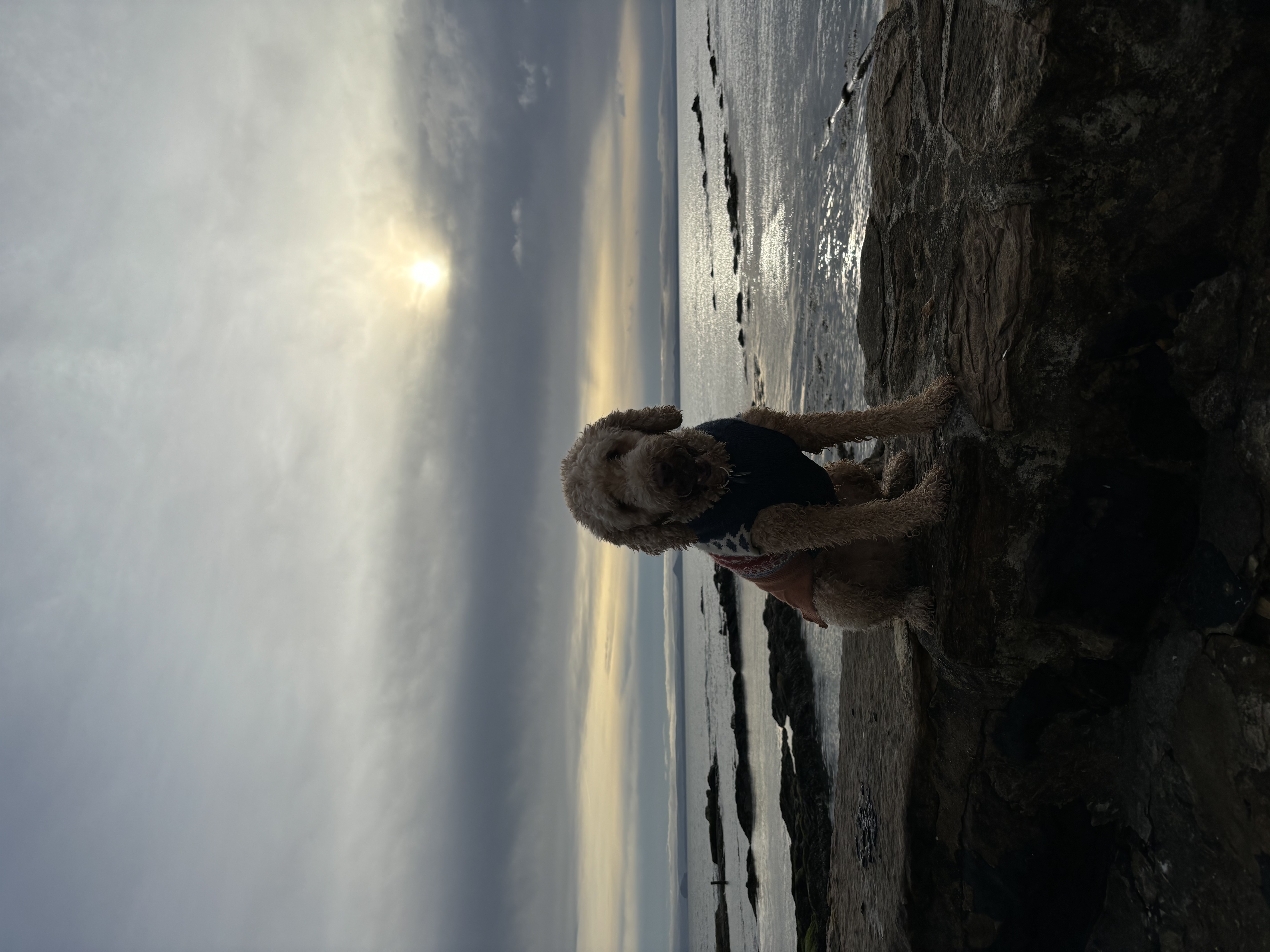 image-9