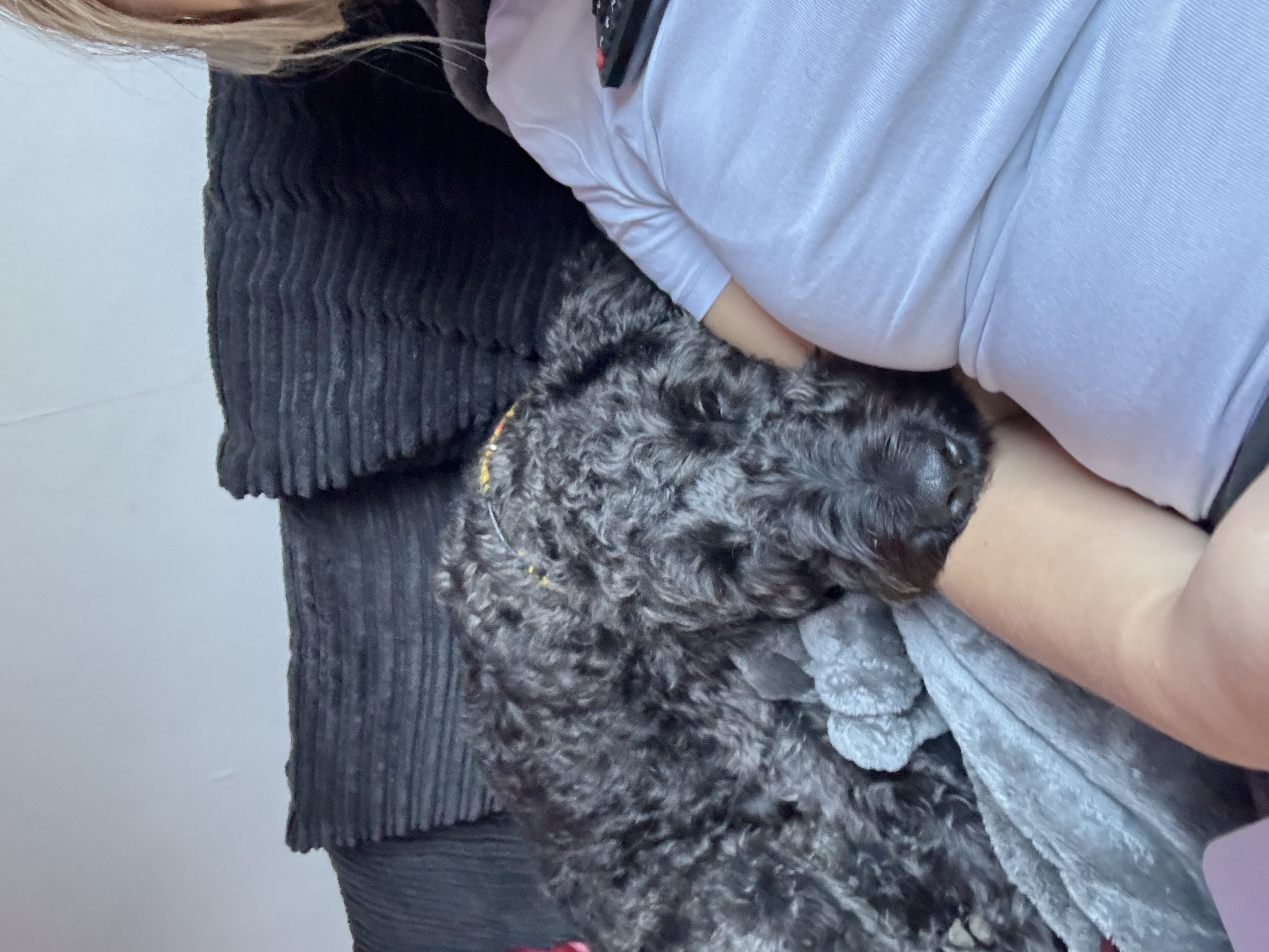 image-6