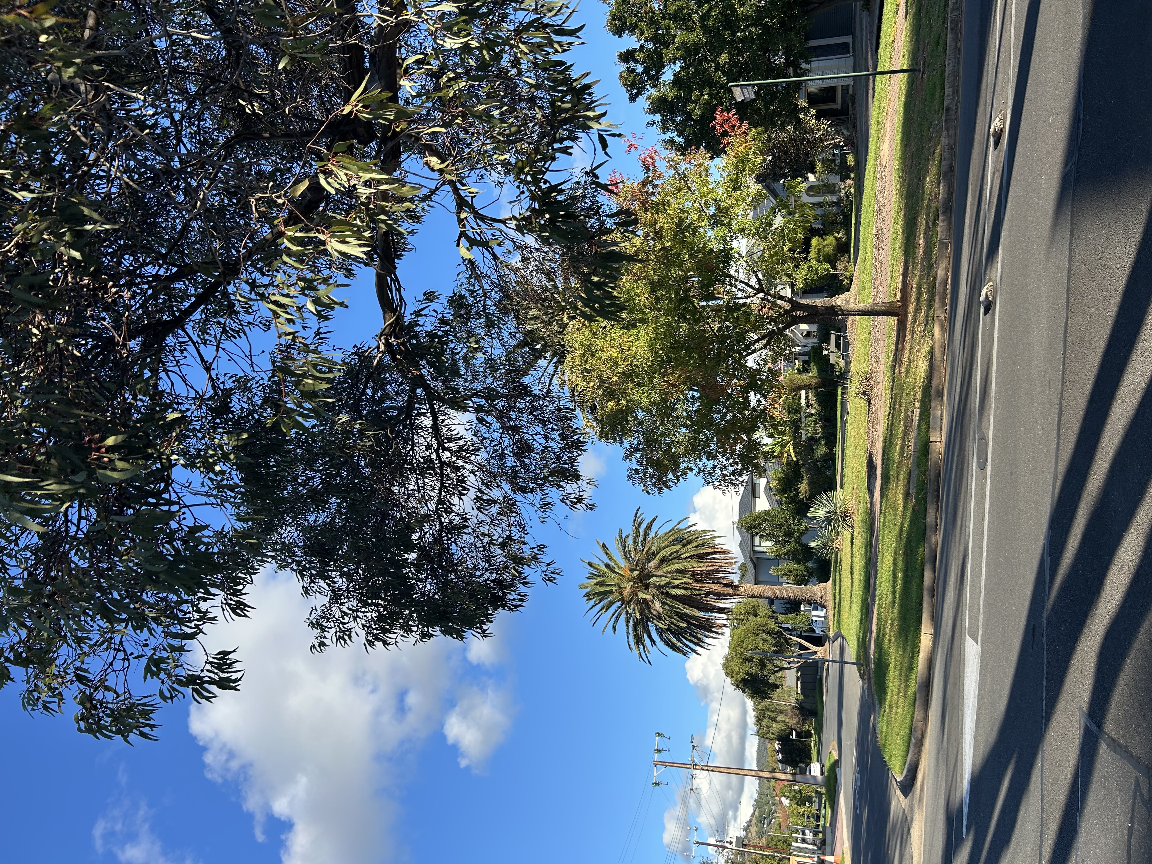 image-18