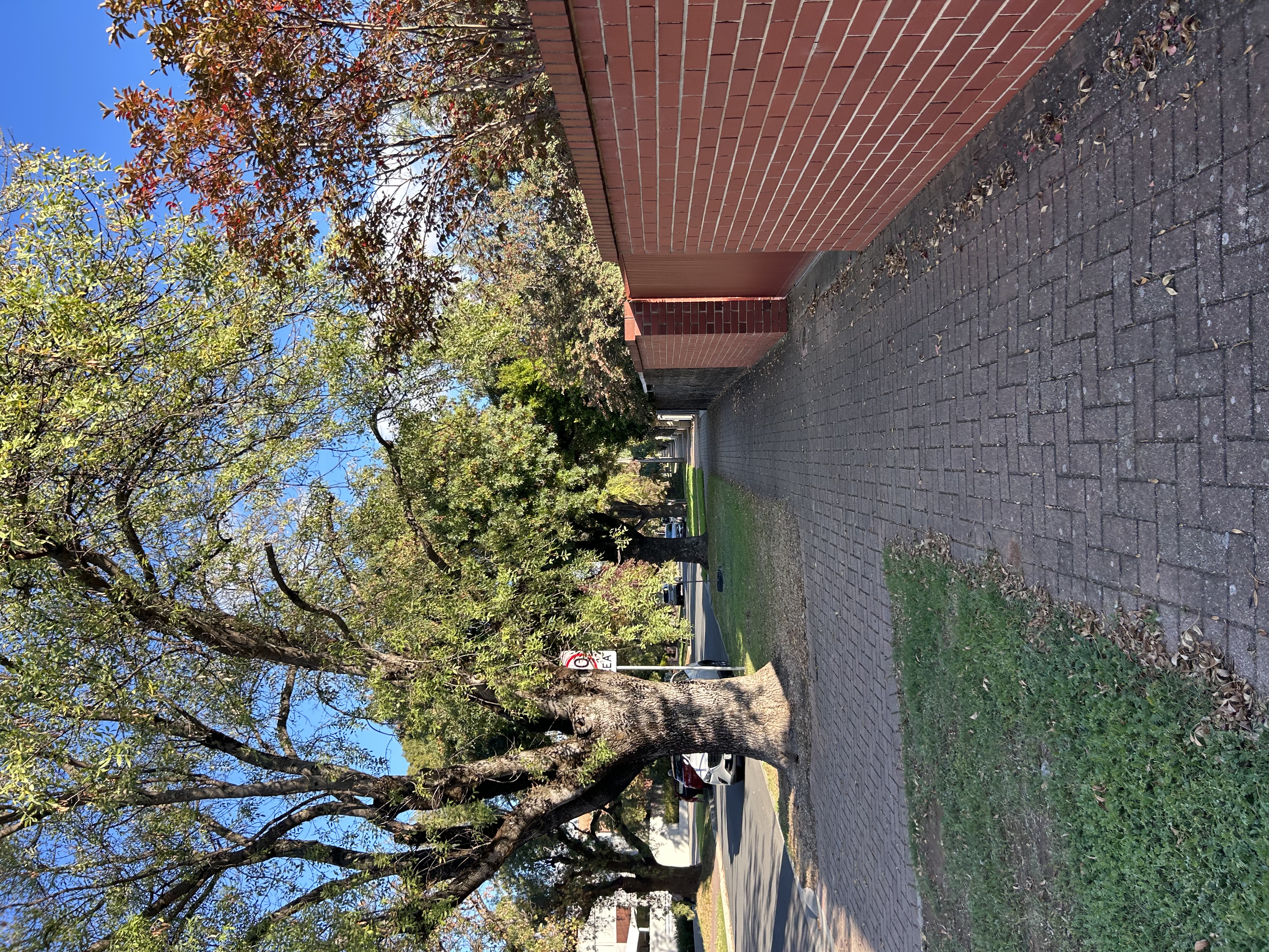 image-17