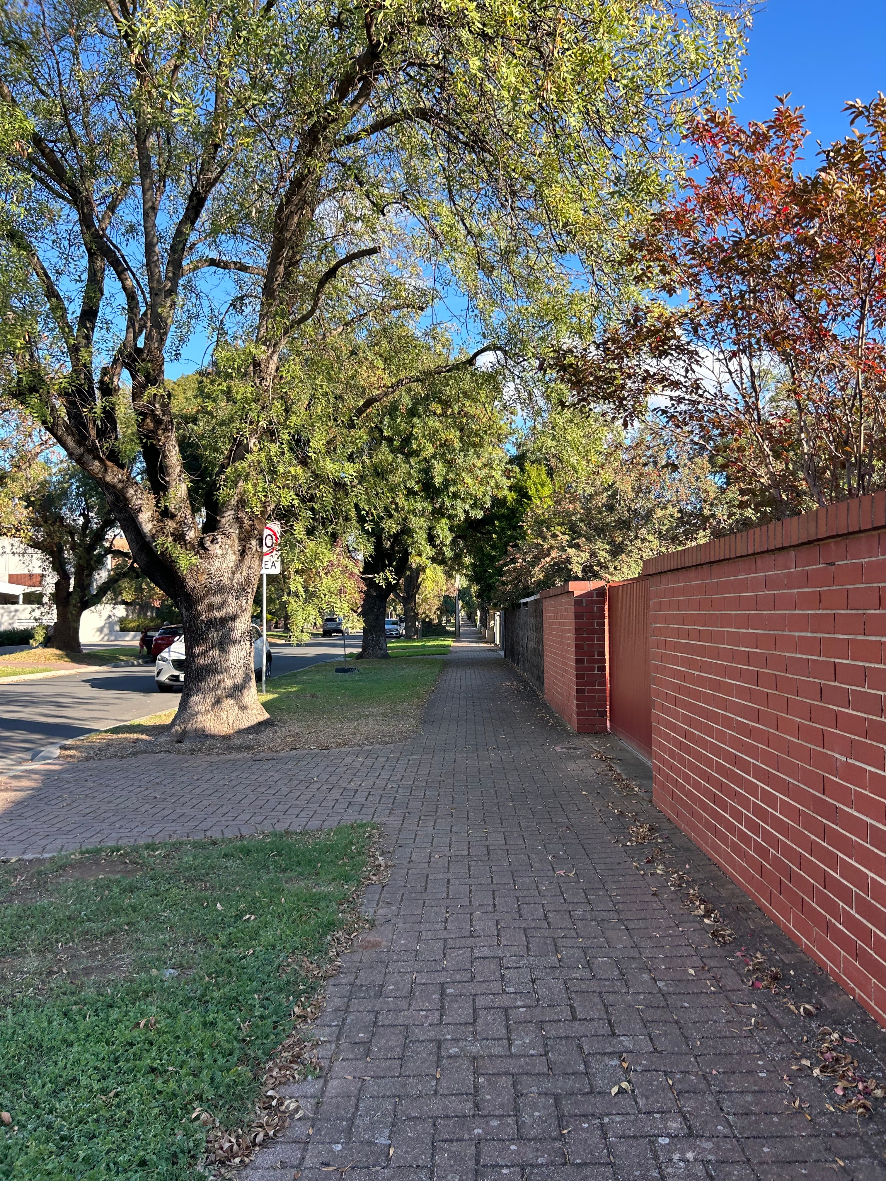image-17