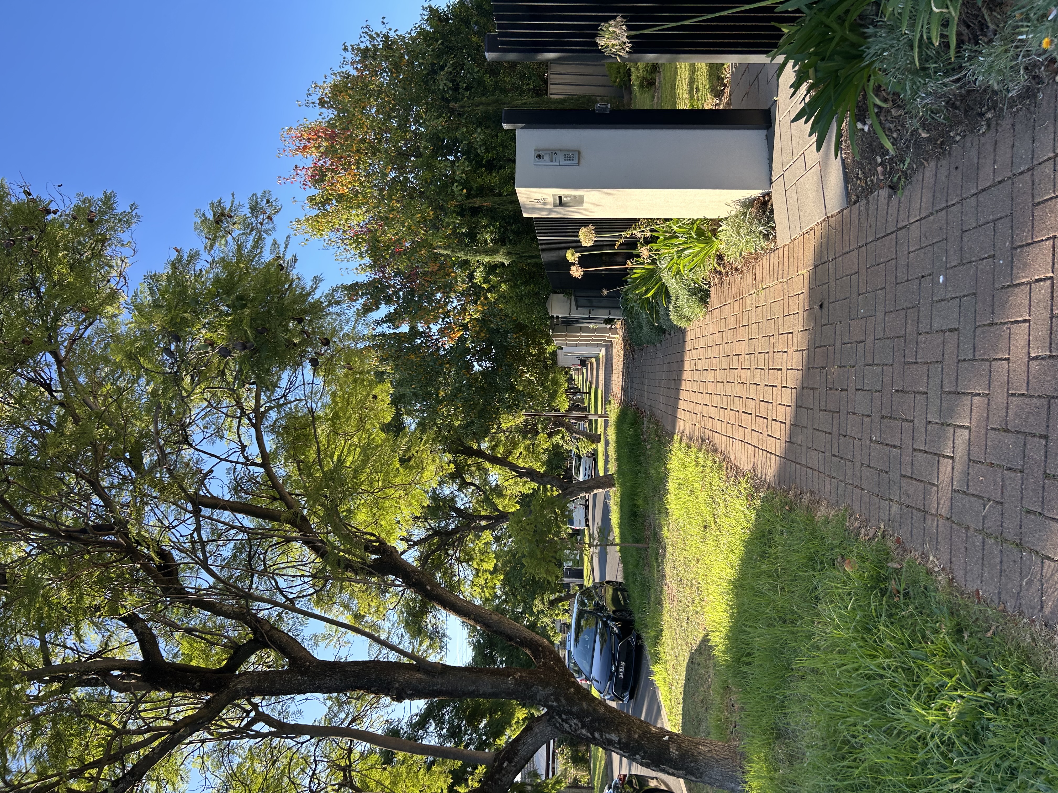 image-19
