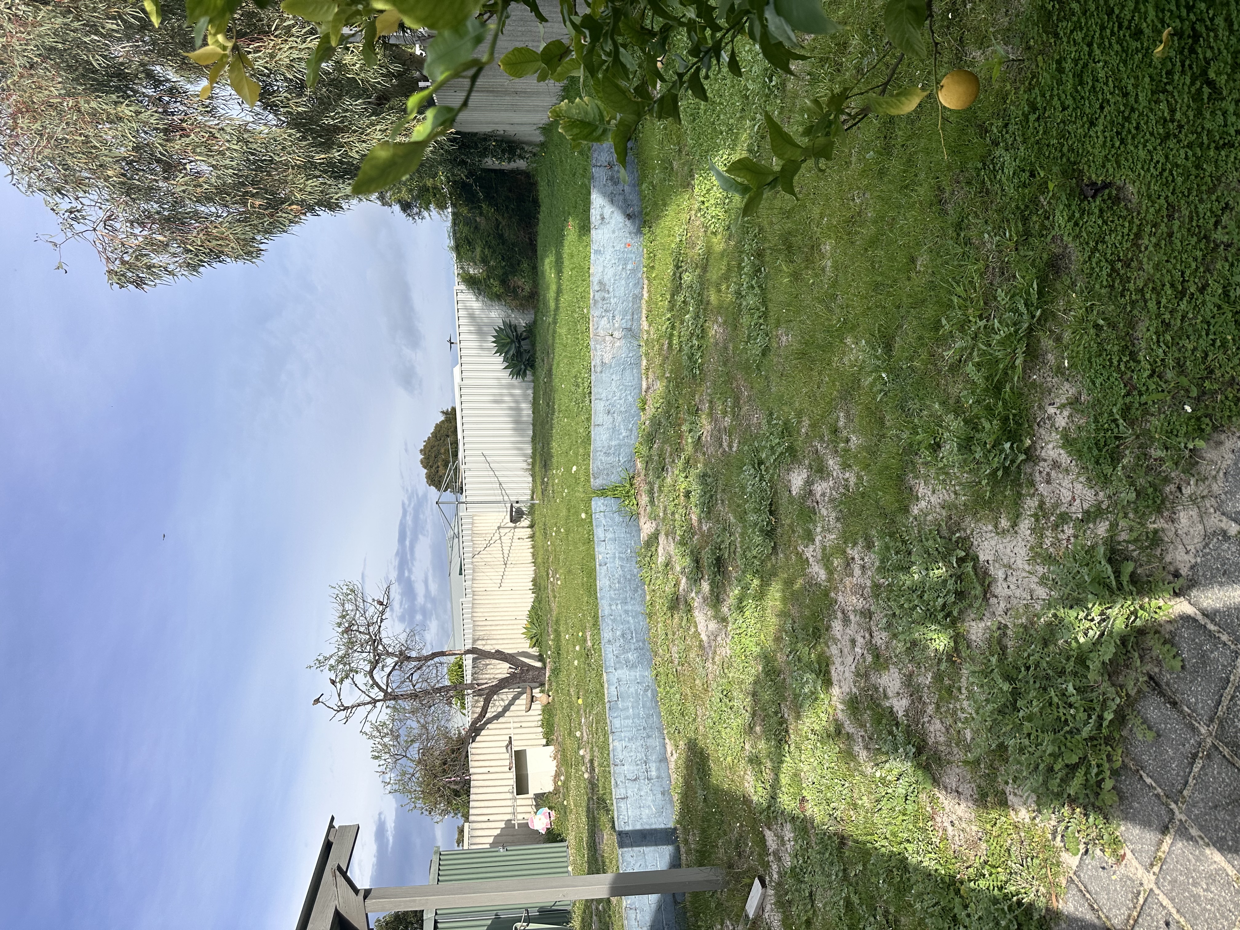 image-24