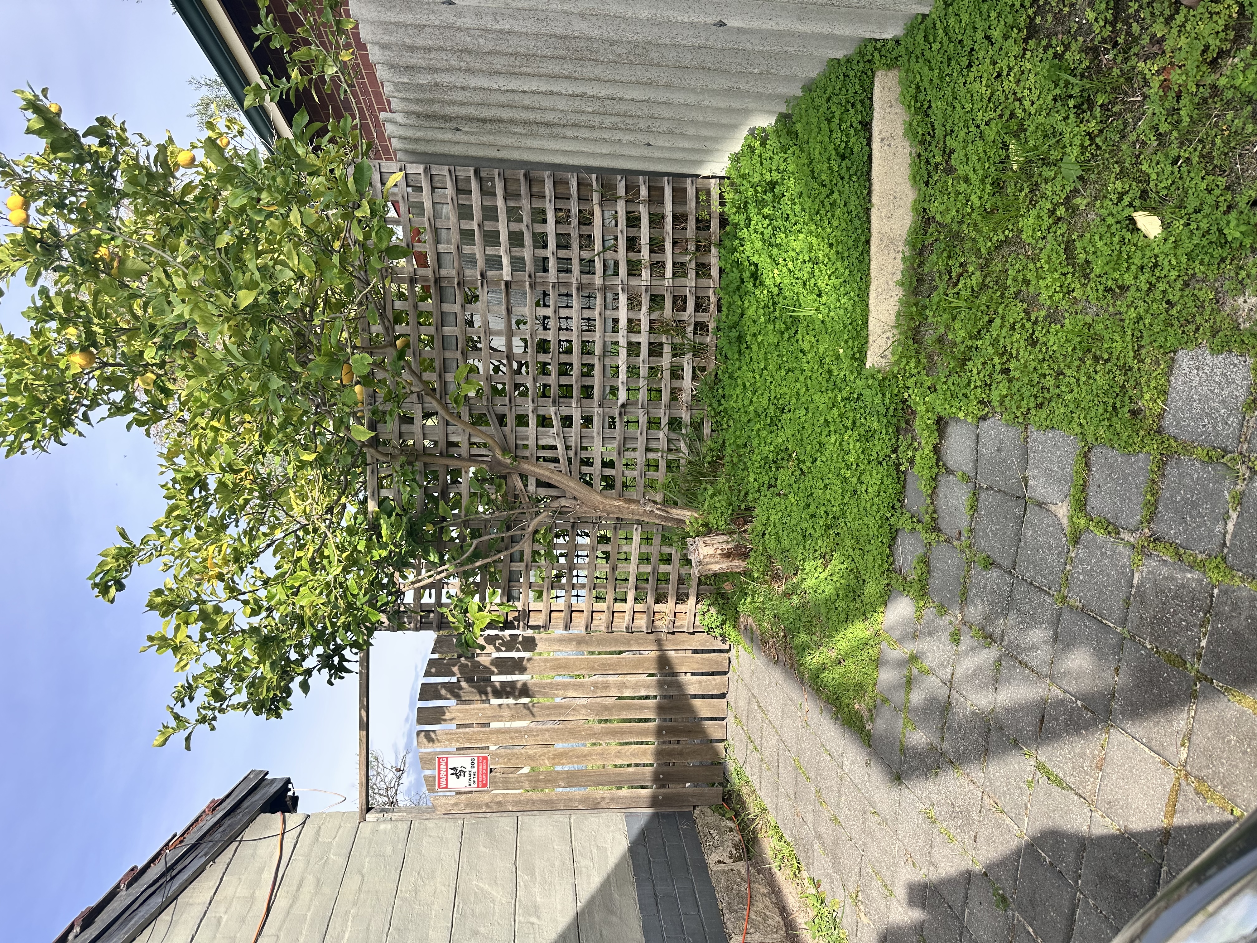 image-22