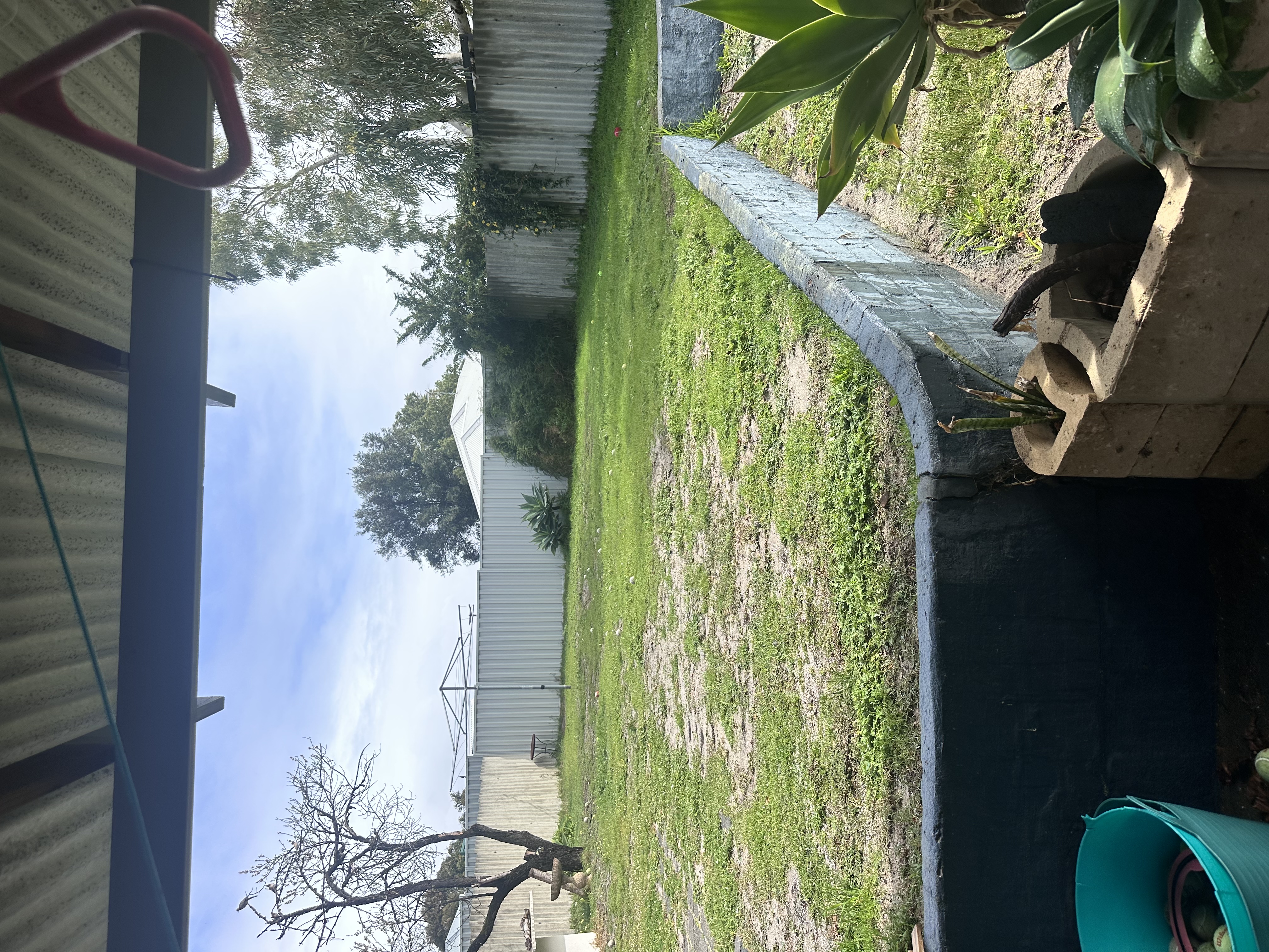 image-16