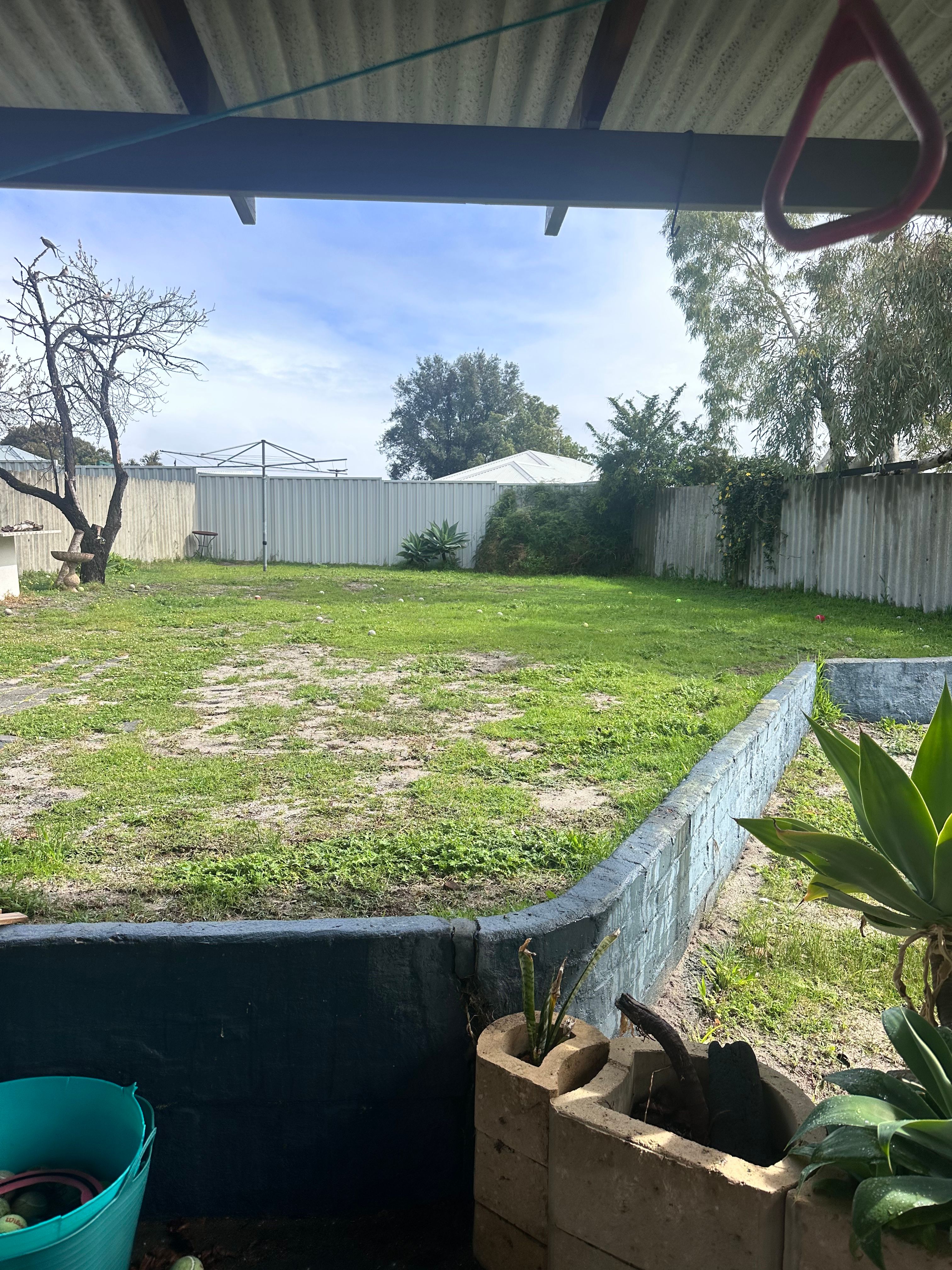 image-16