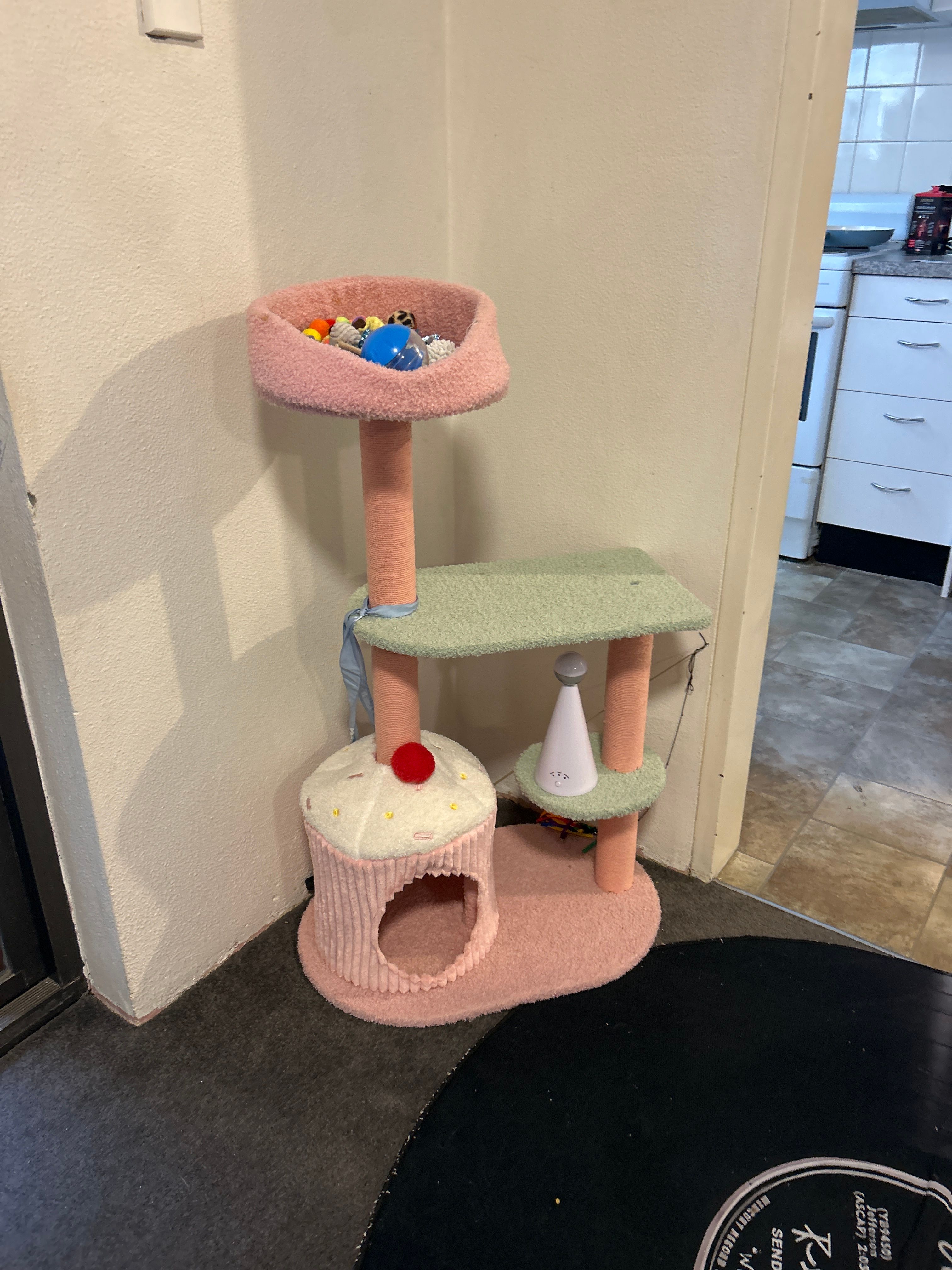 image-12