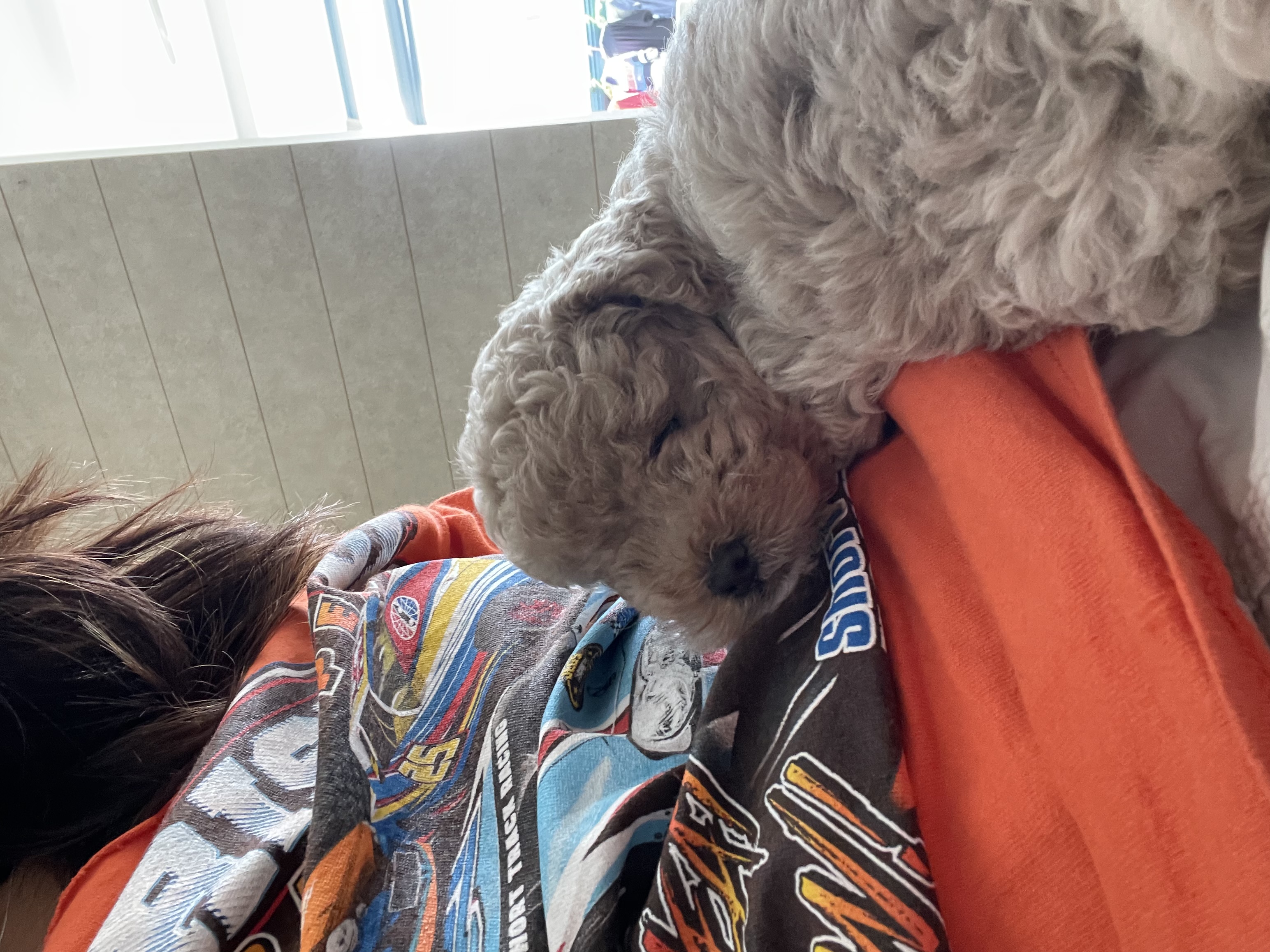 image-6