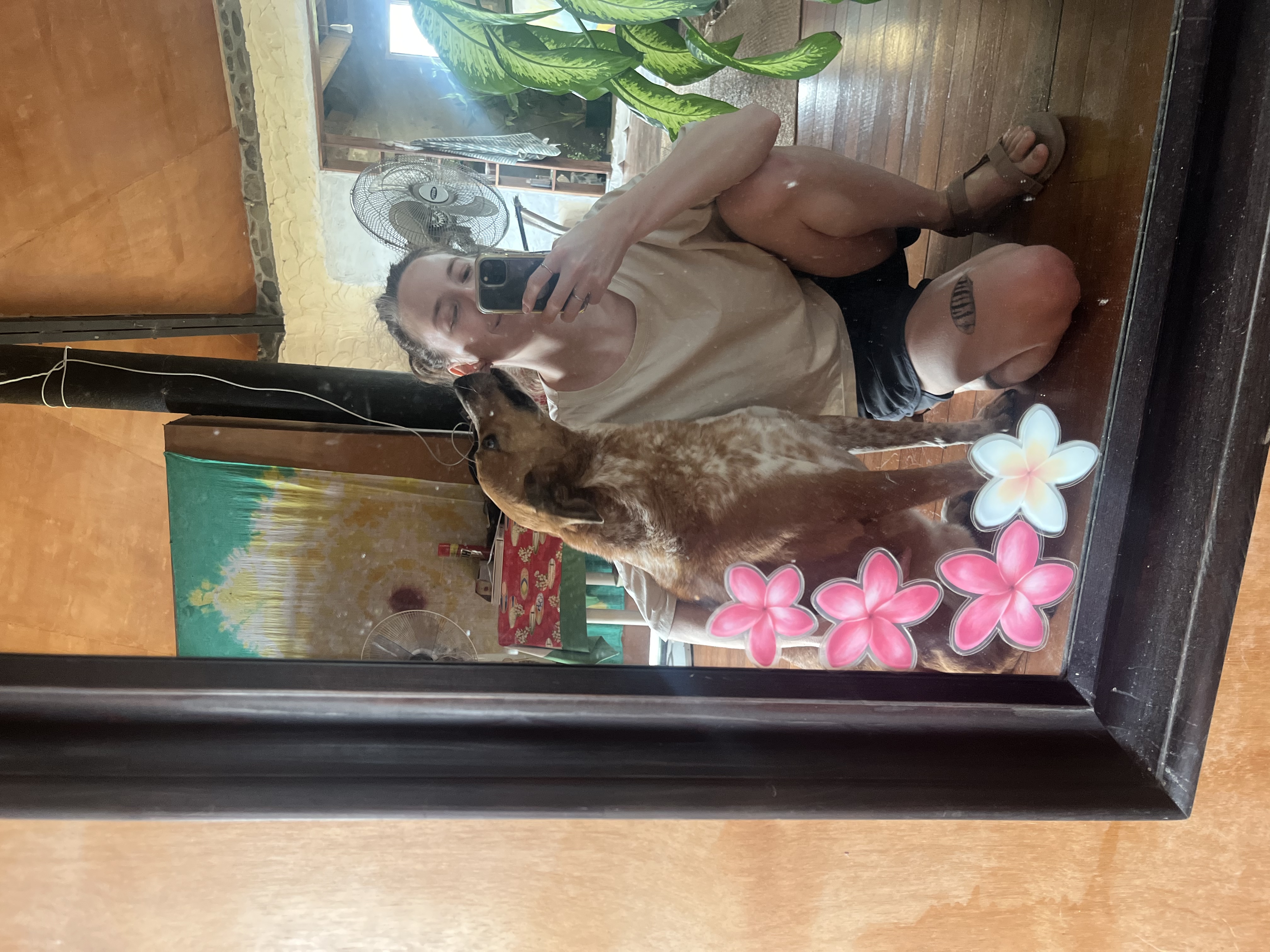 image-8