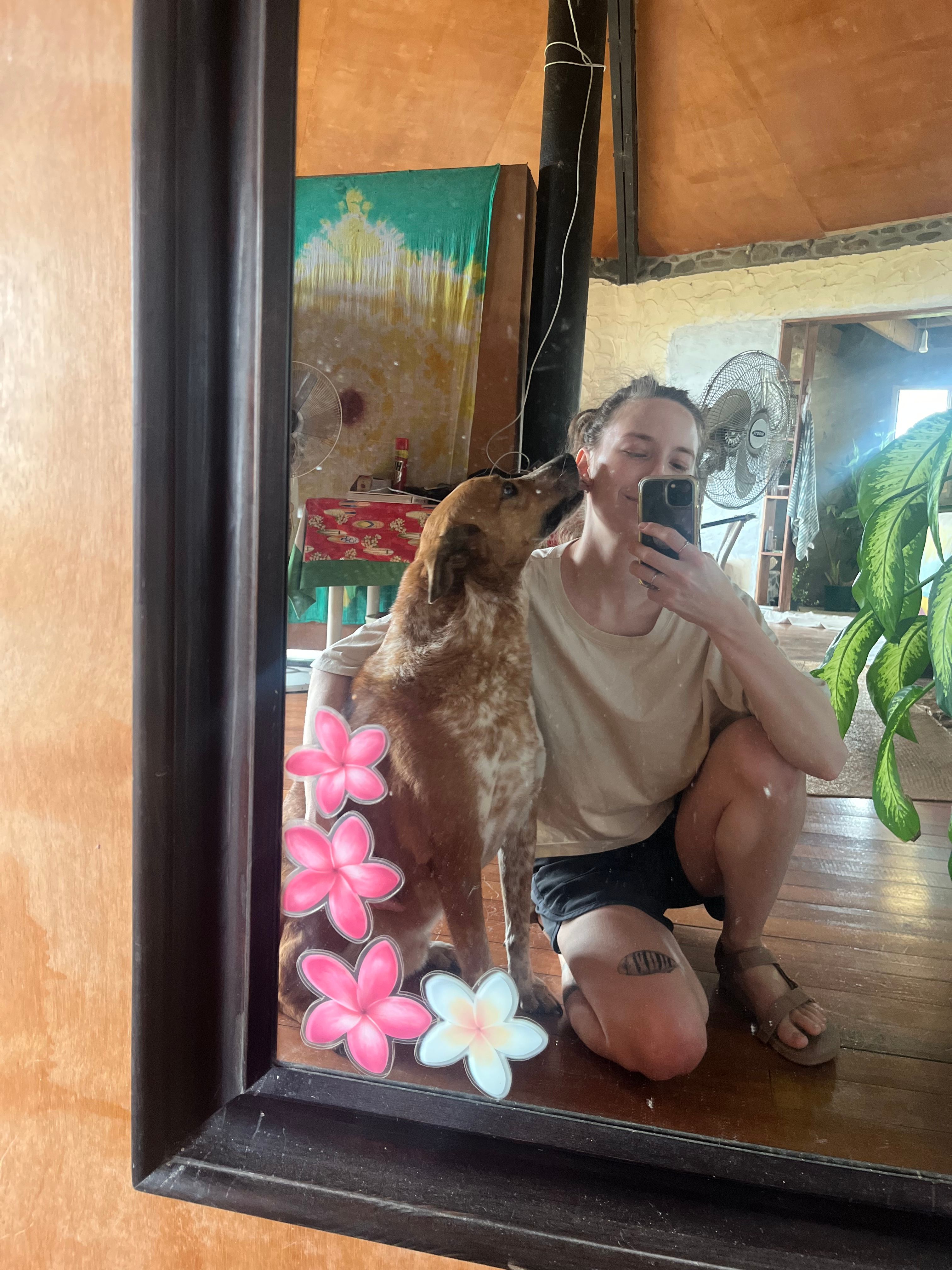 image-8