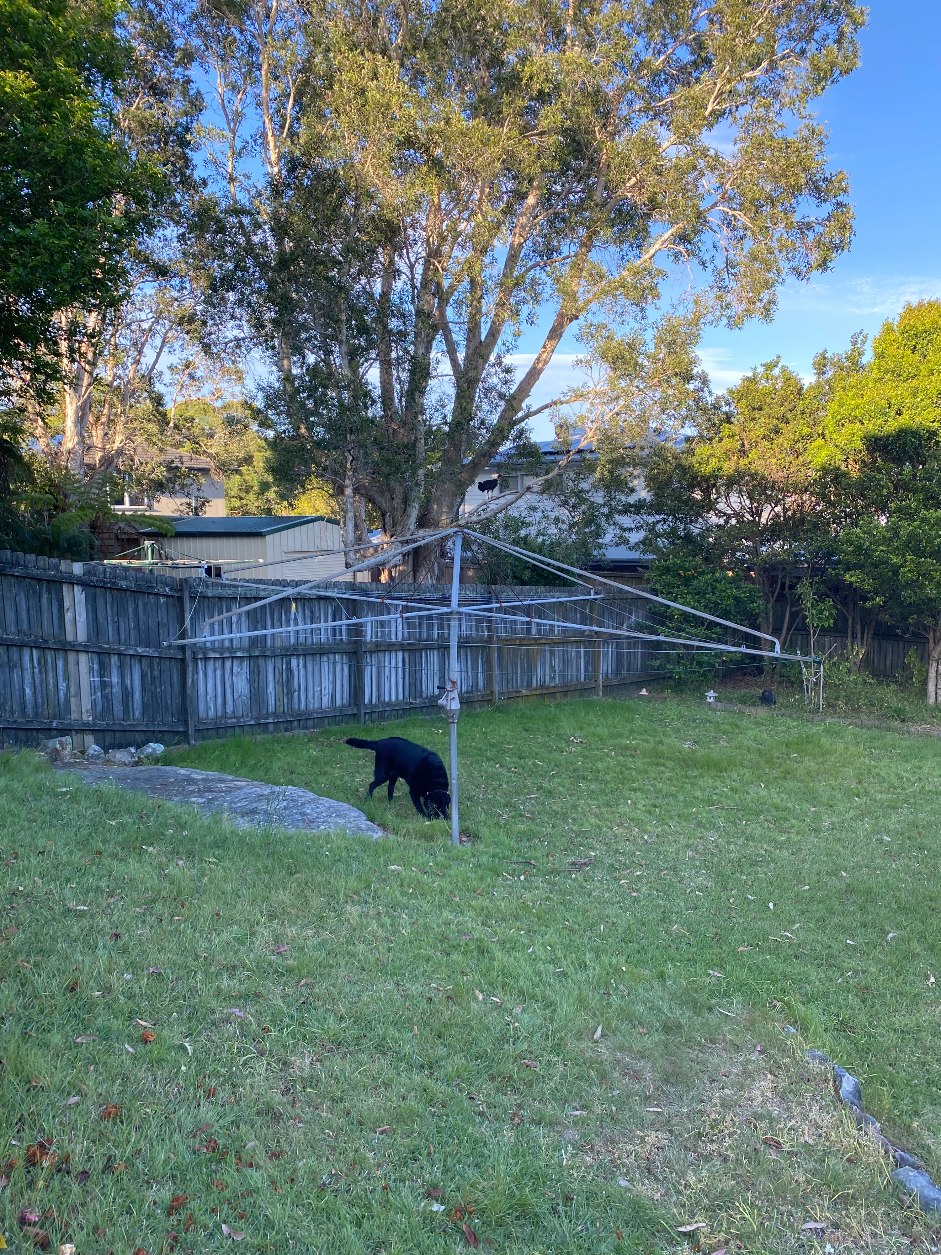 image-13