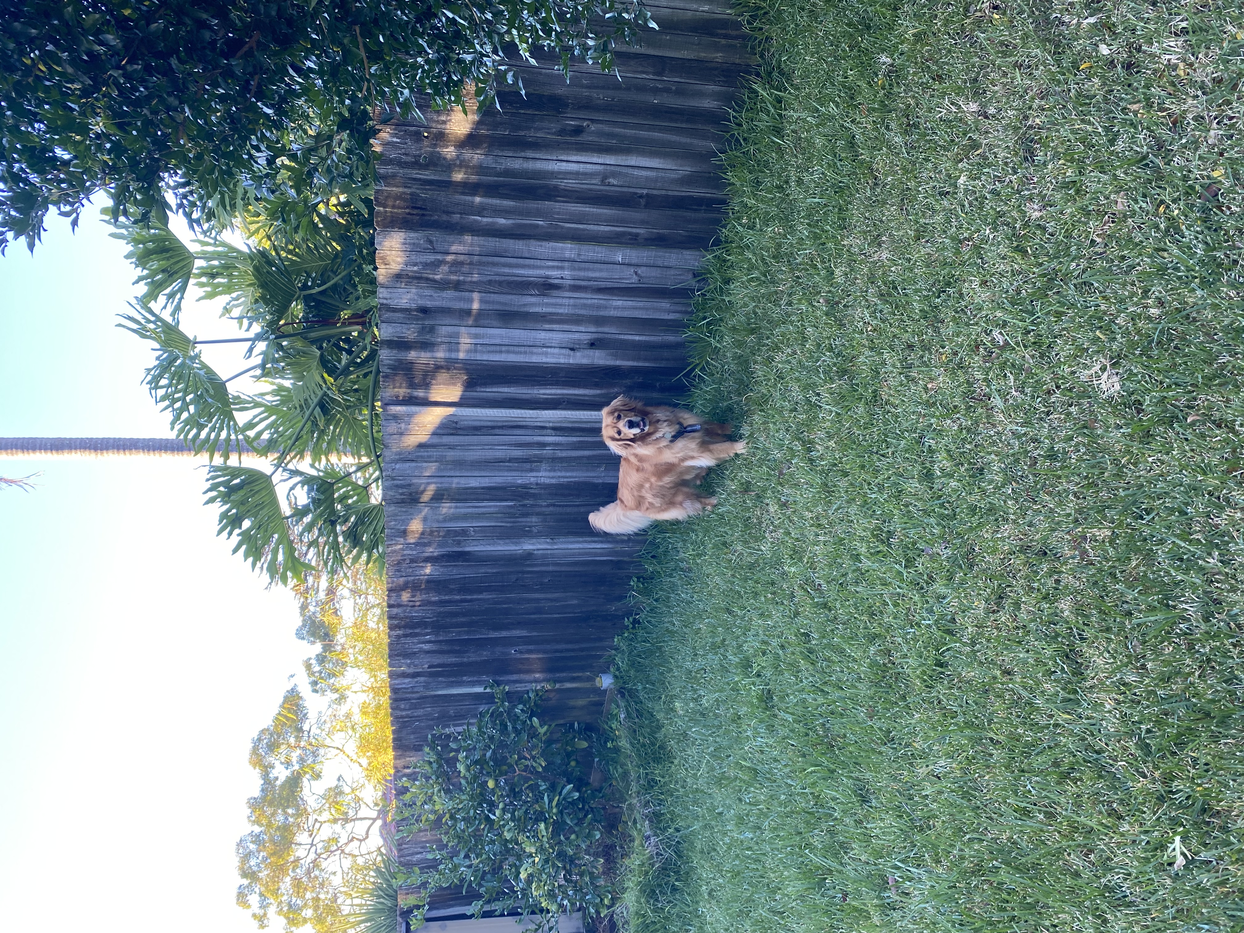 image-16