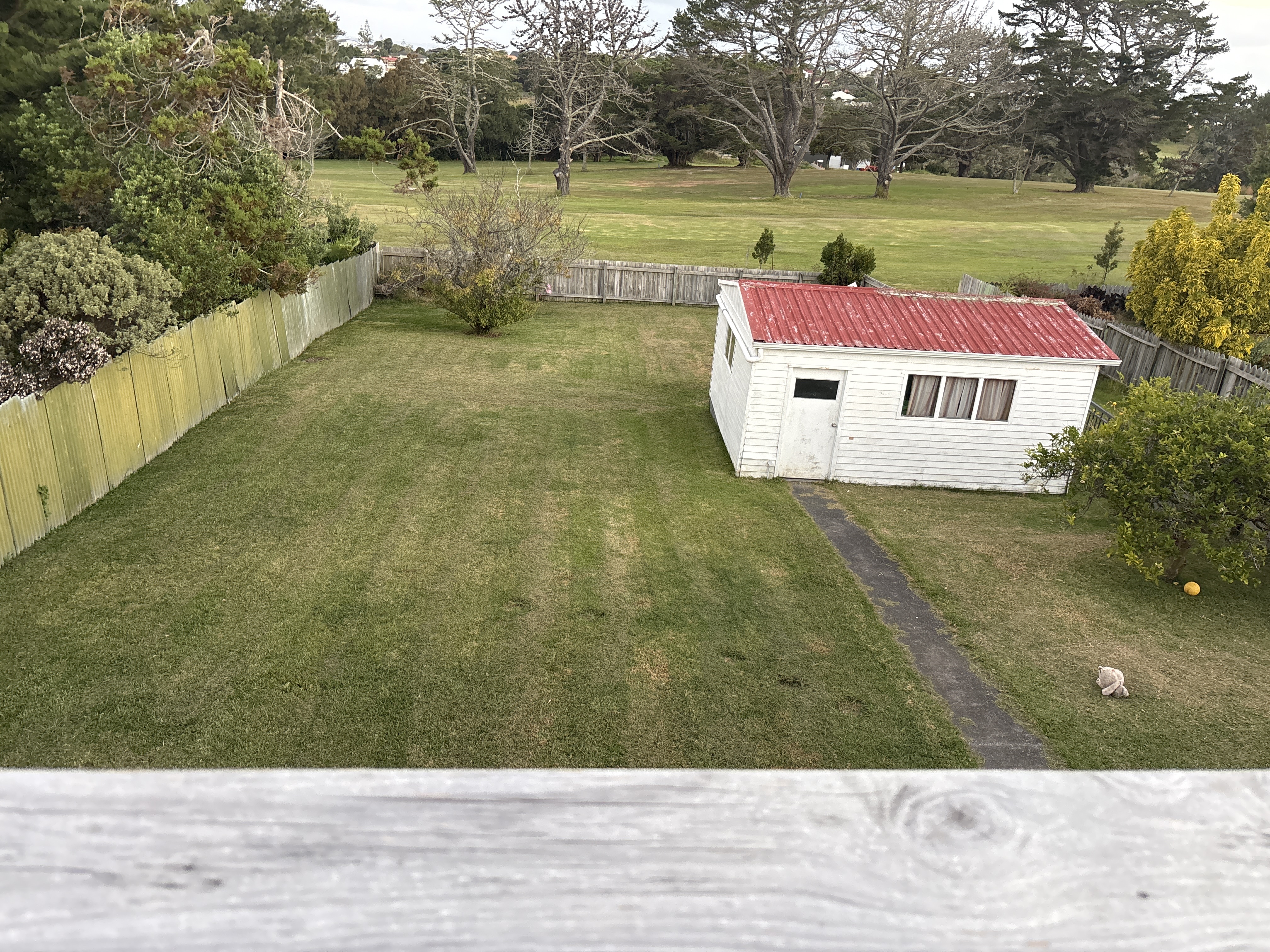 image-11