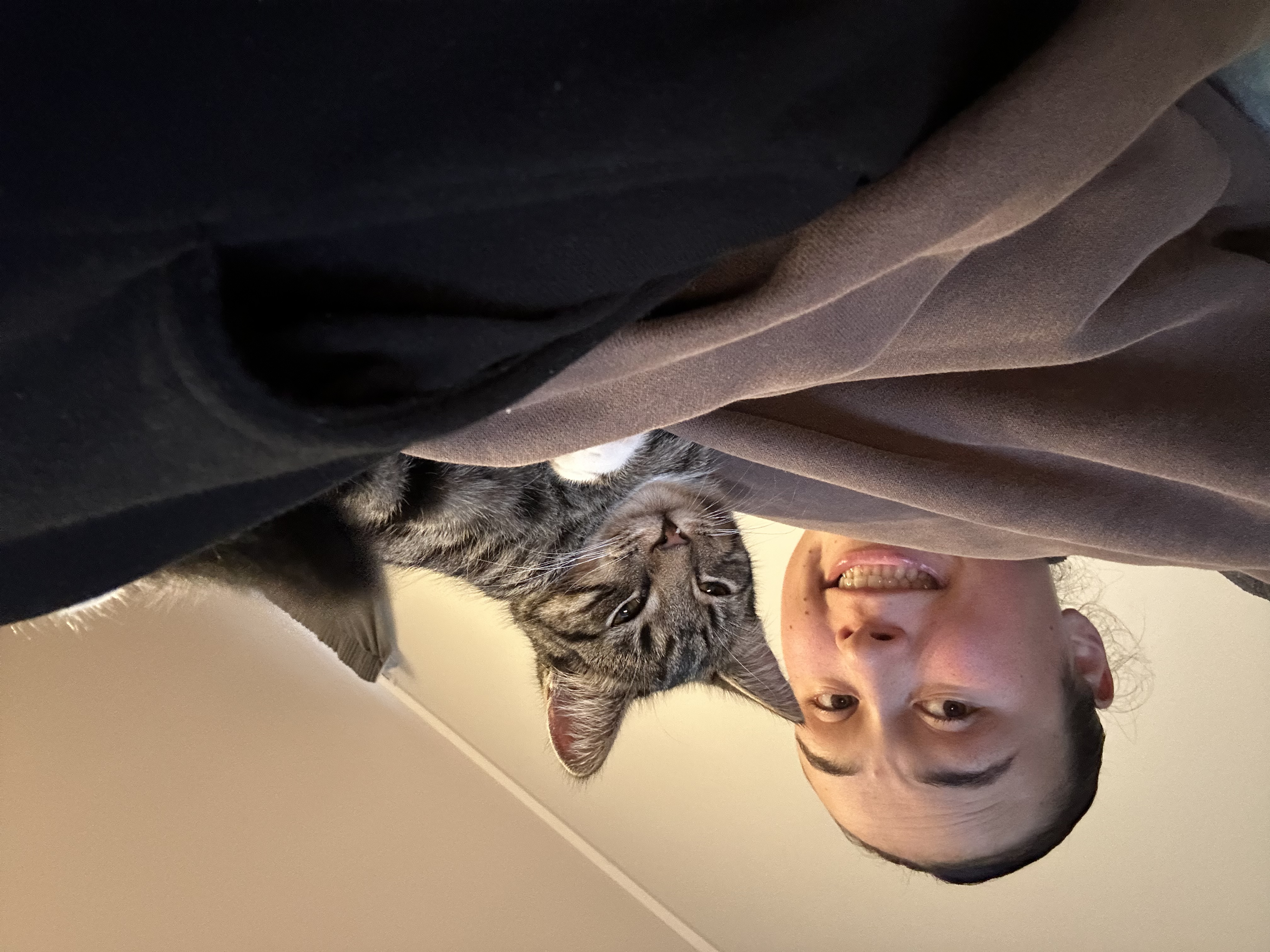 image-5