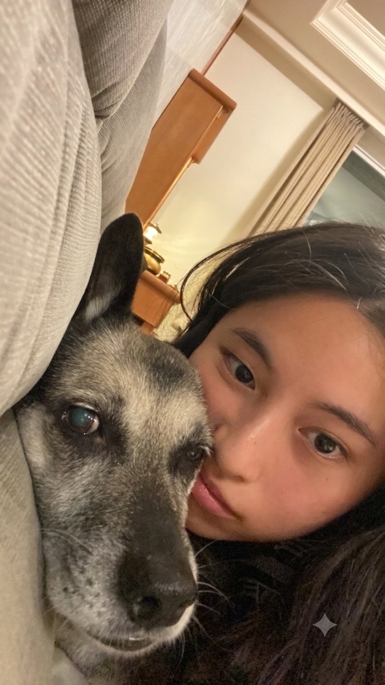 image-7