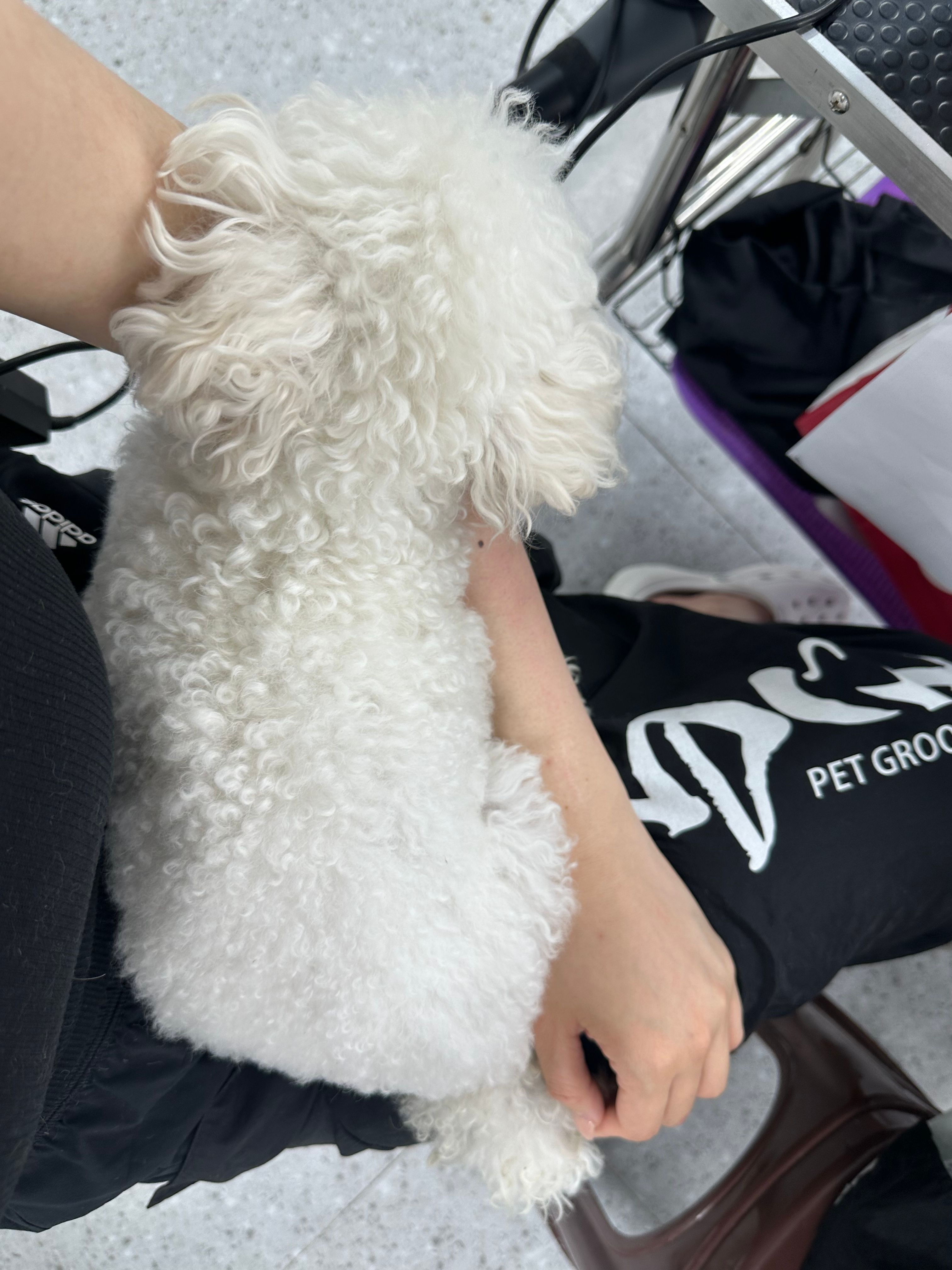 image-6