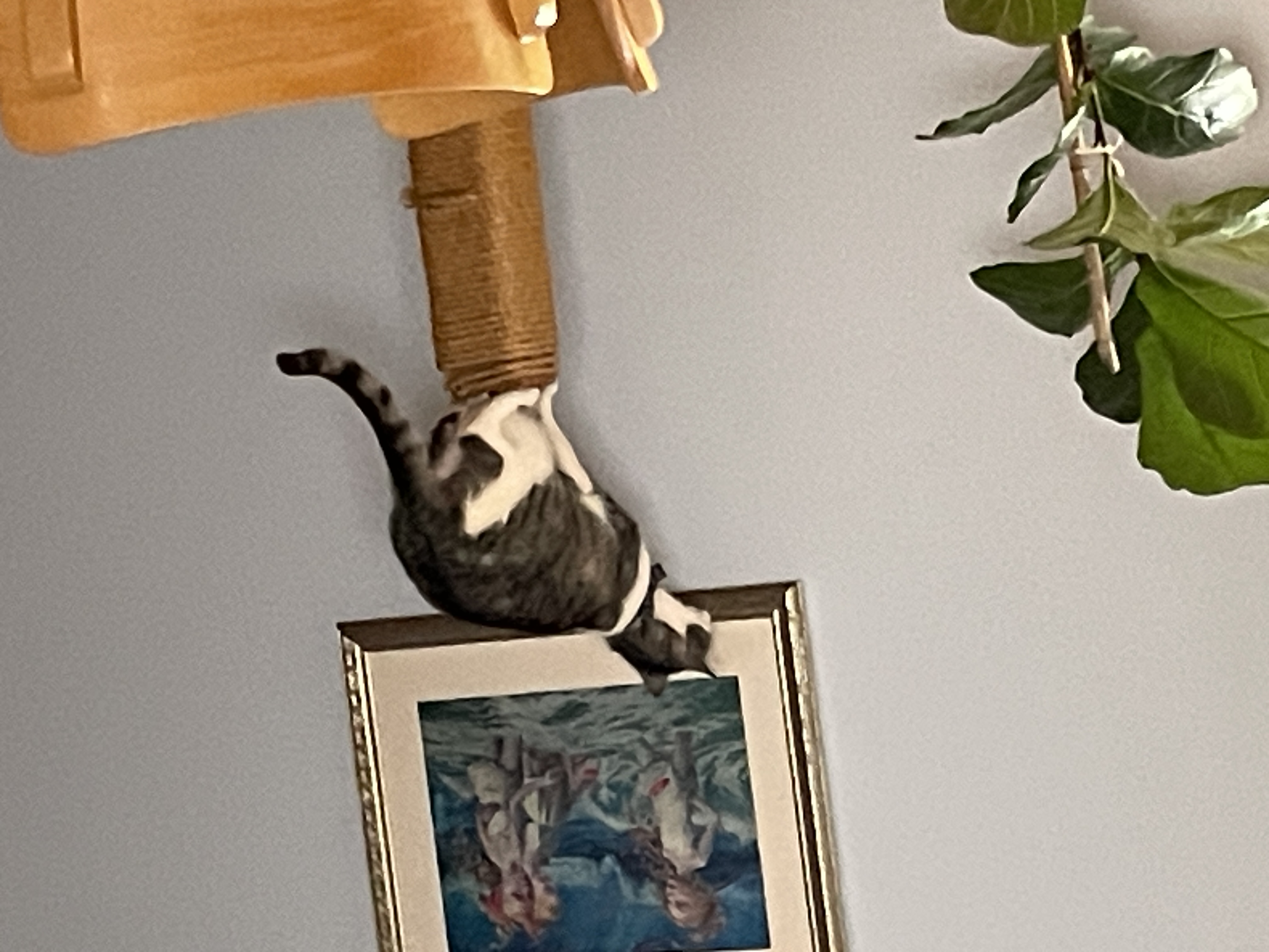 image-15