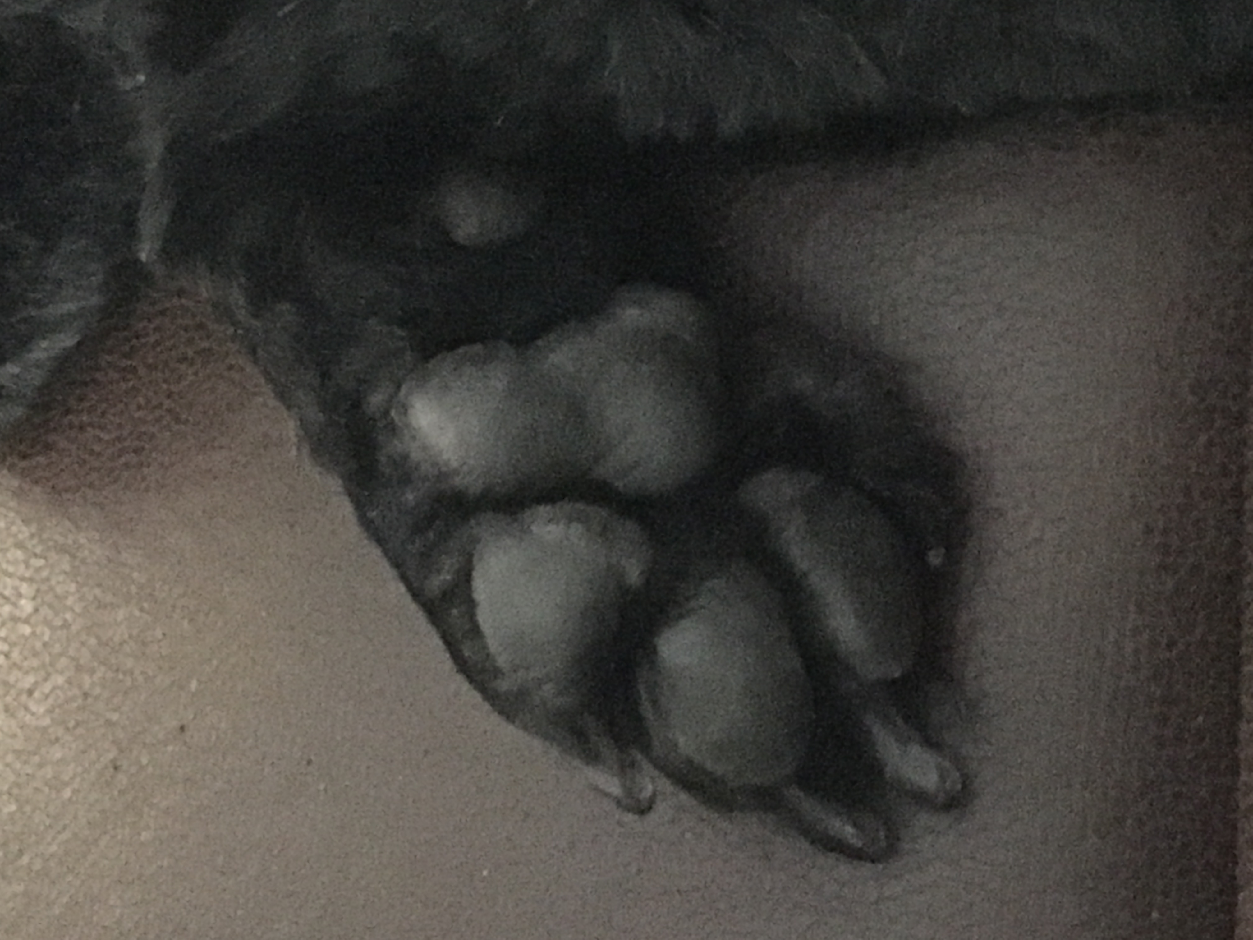 image-16