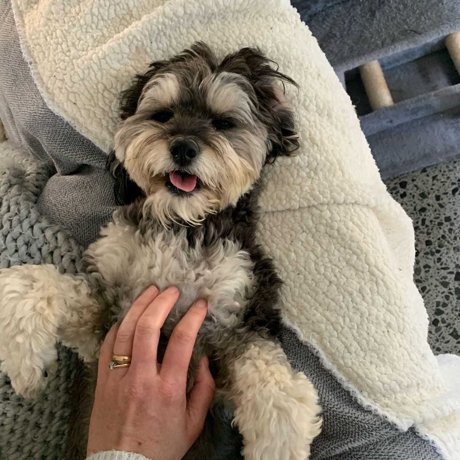 Winnie