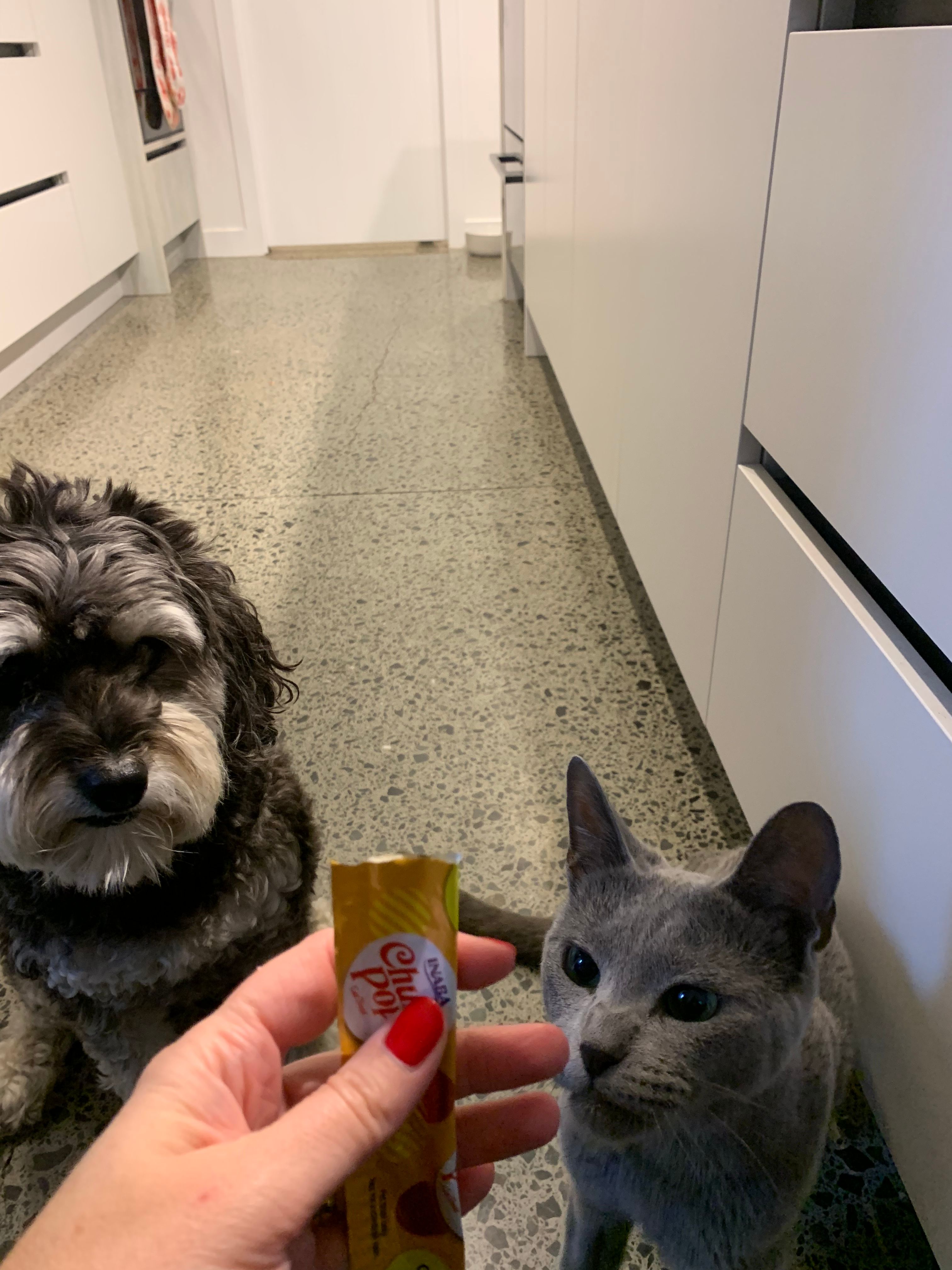 image-11
