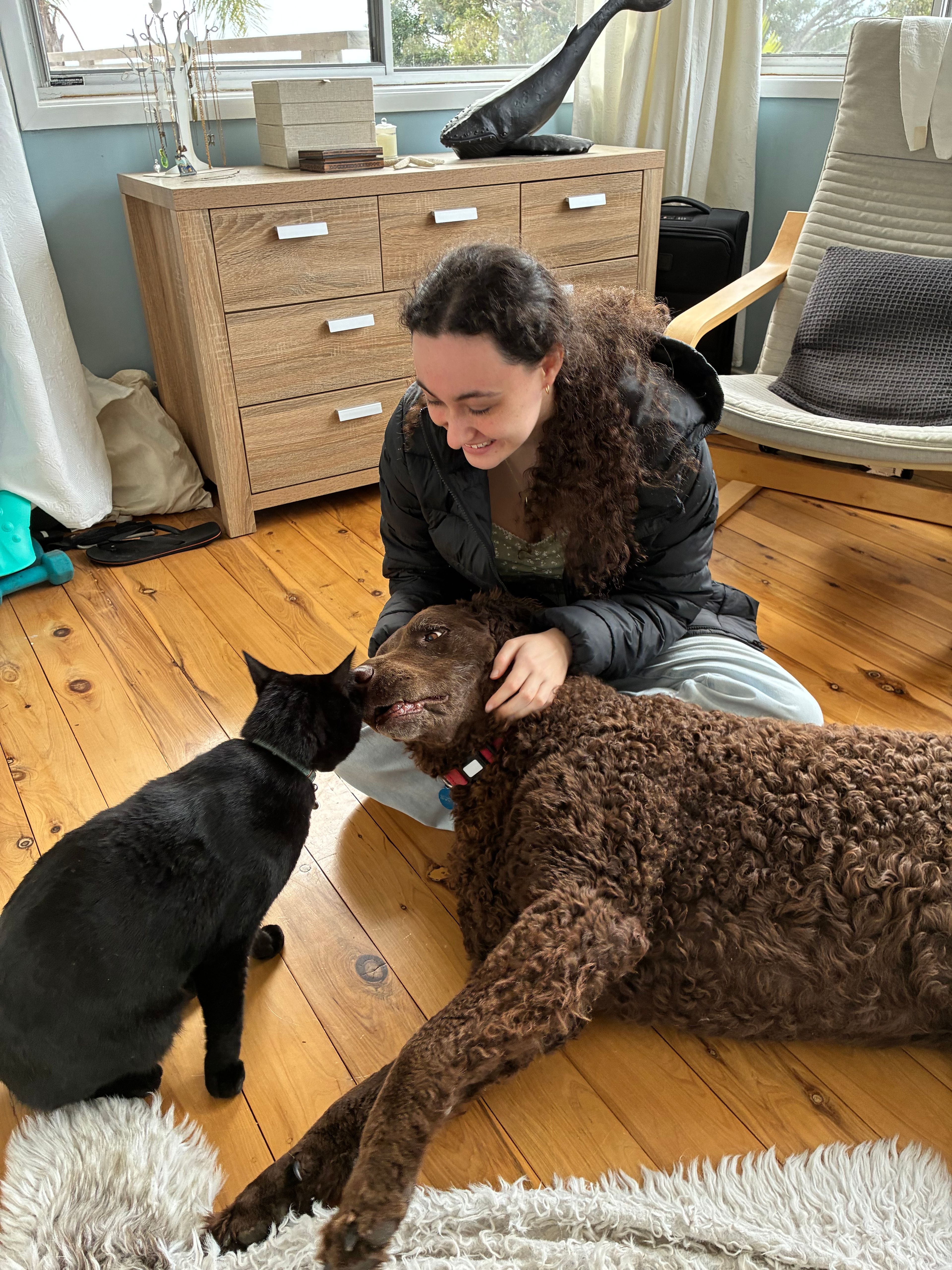 image-1