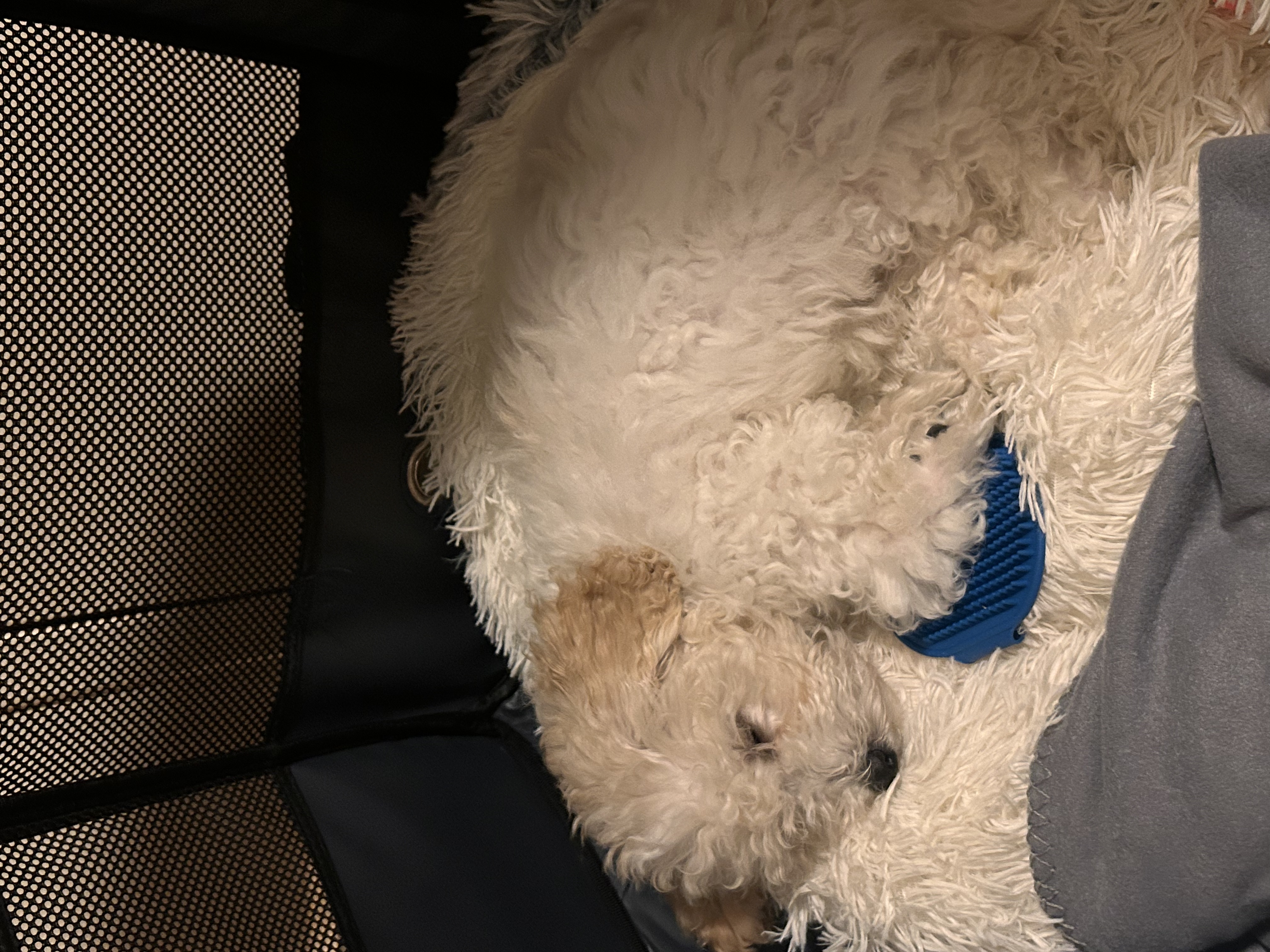 image-6