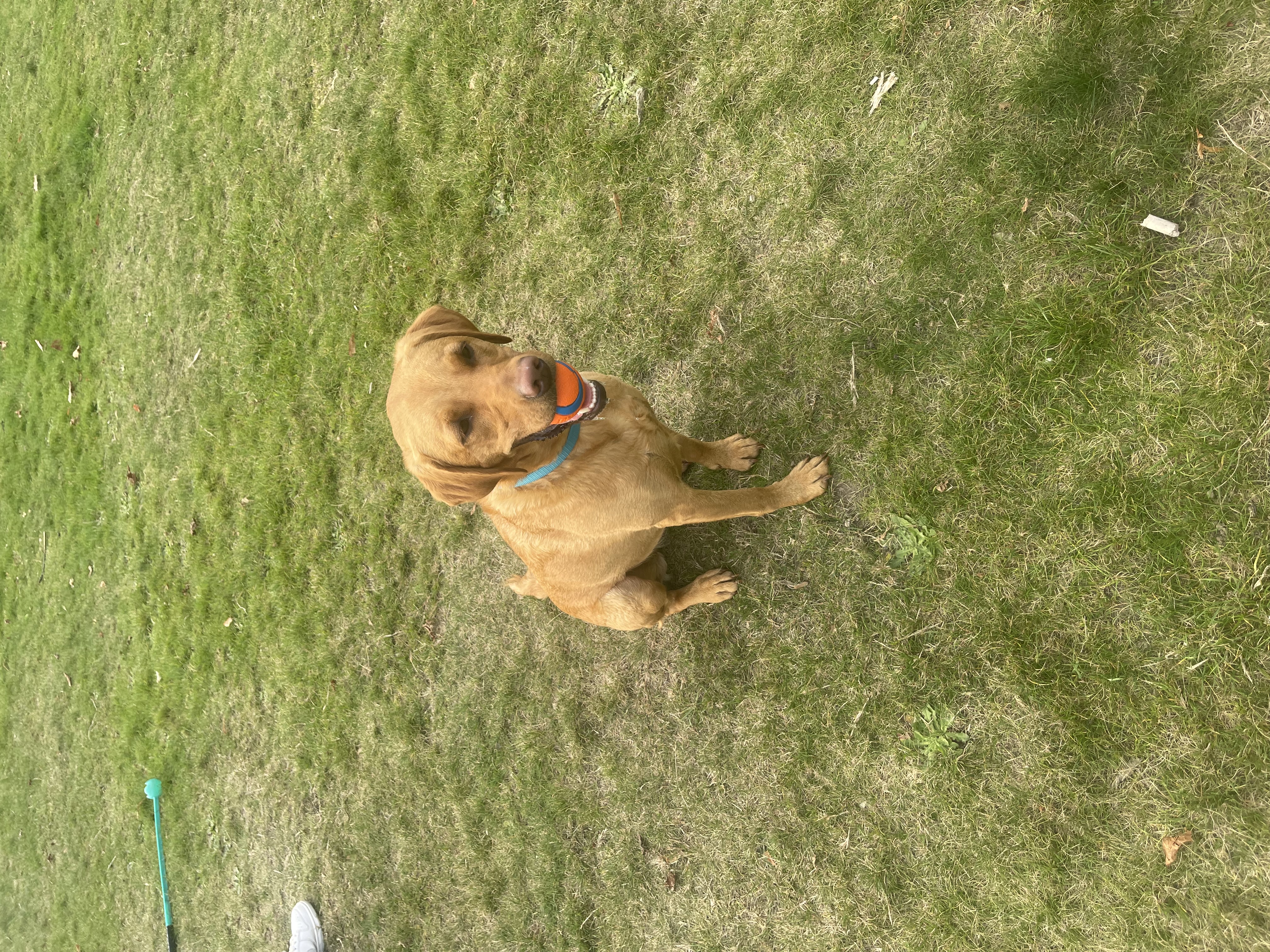 image-4