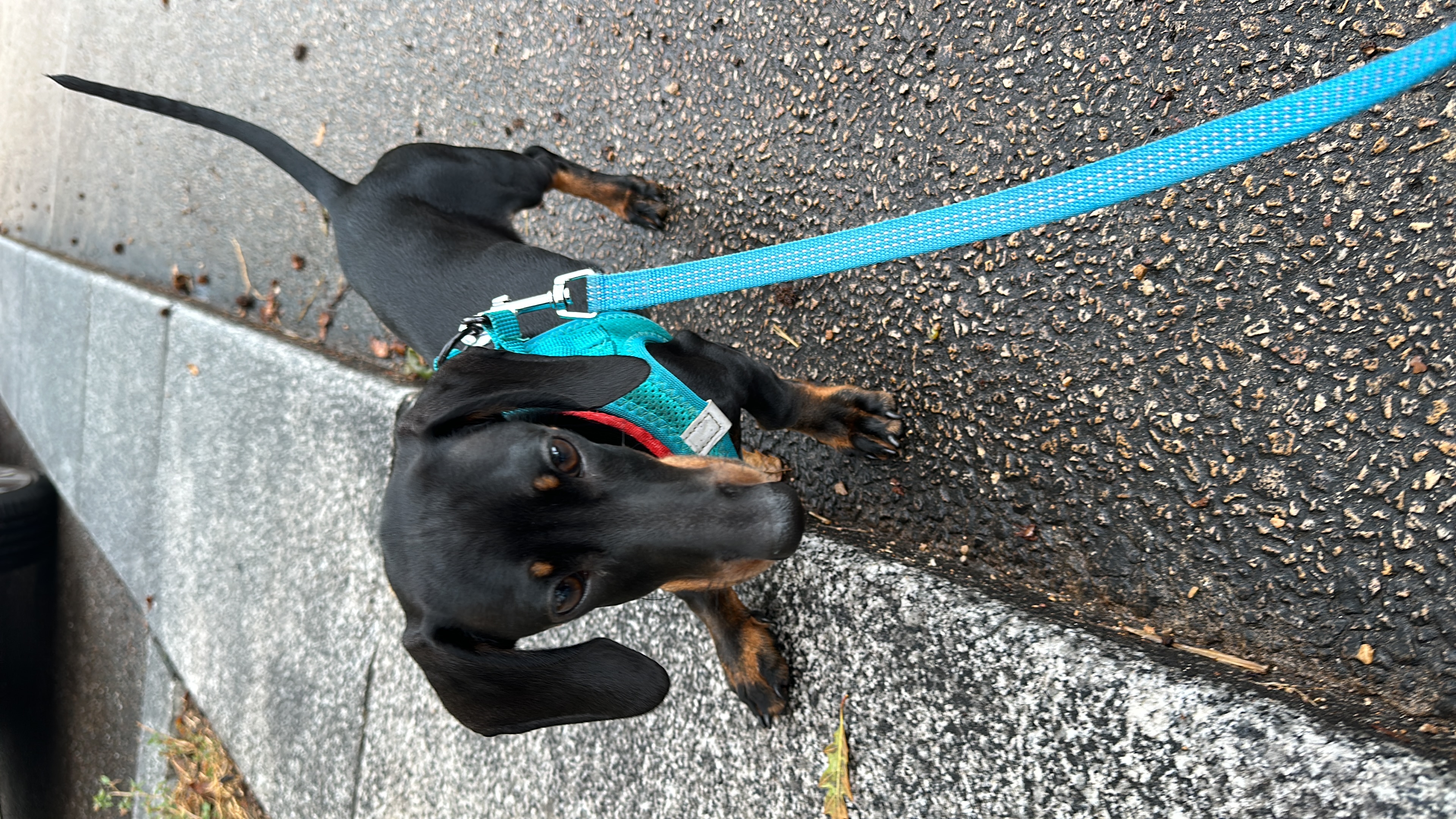 image-10