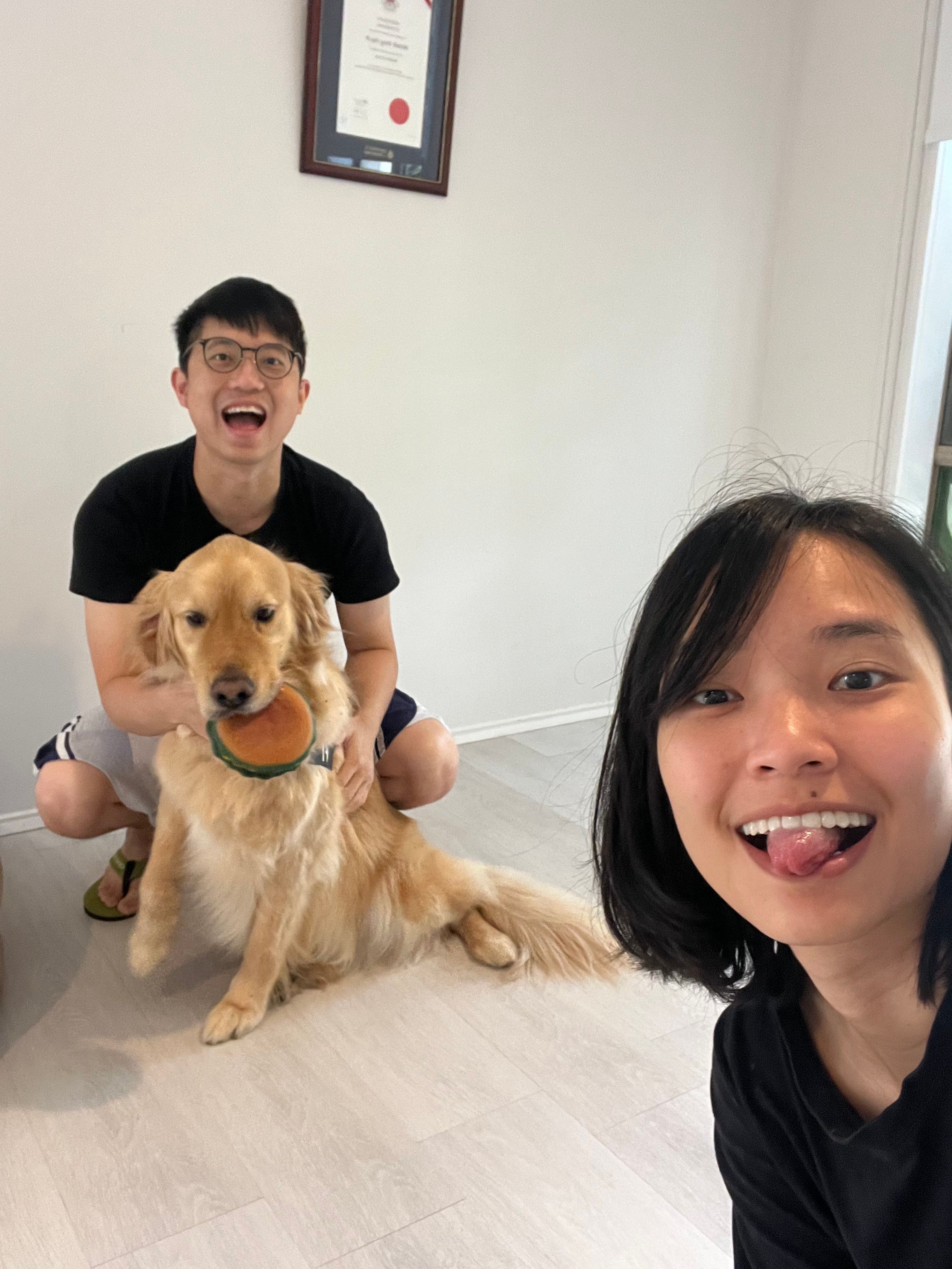 image-23