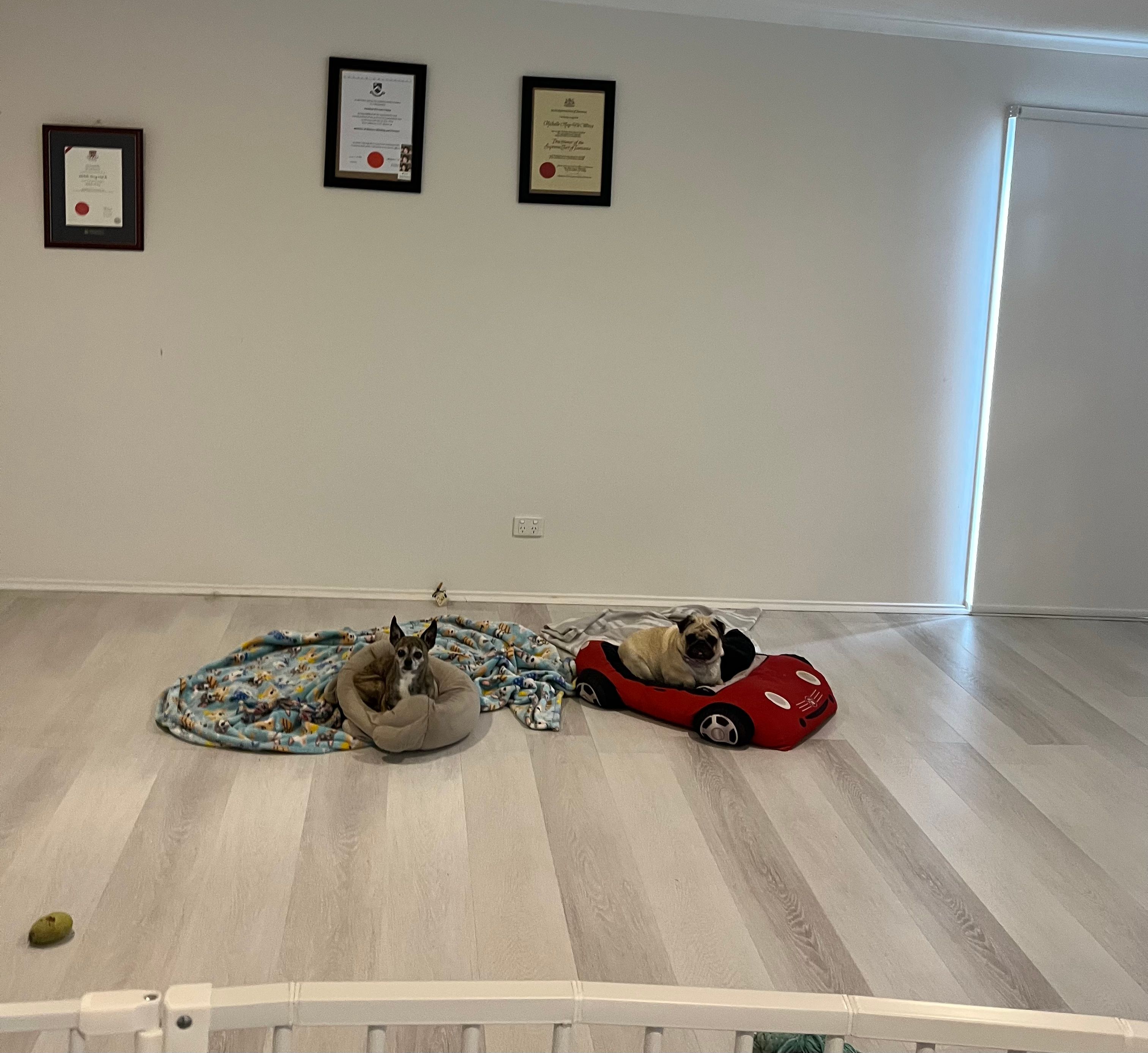 image-49
