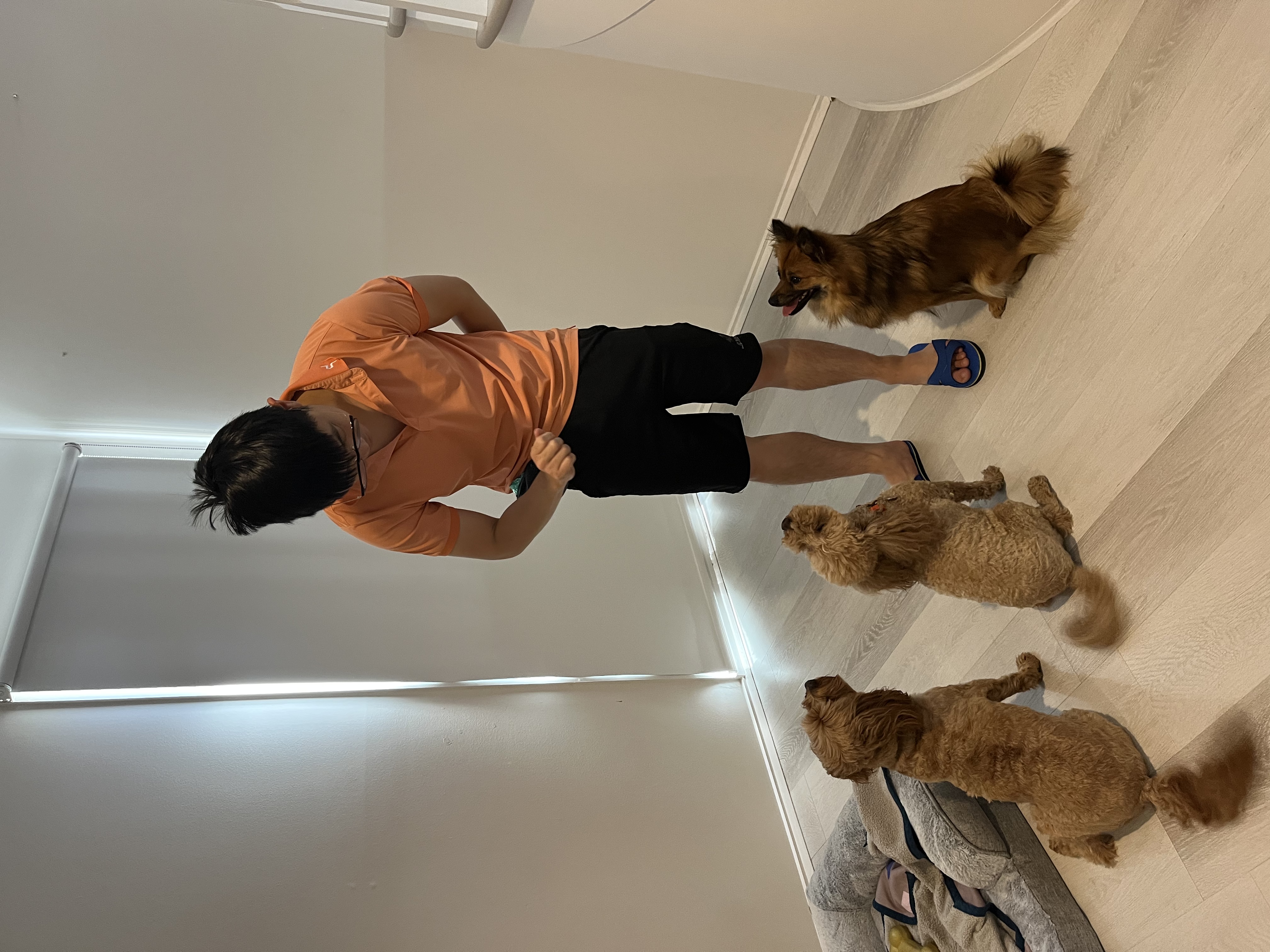 image-4