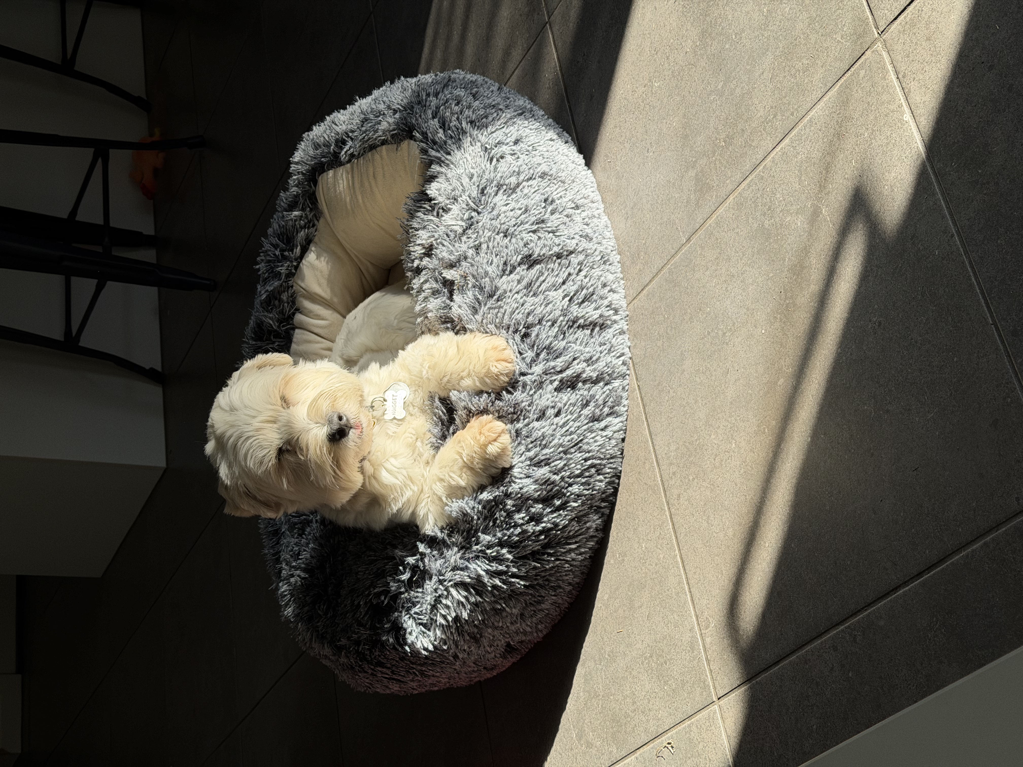 image-9